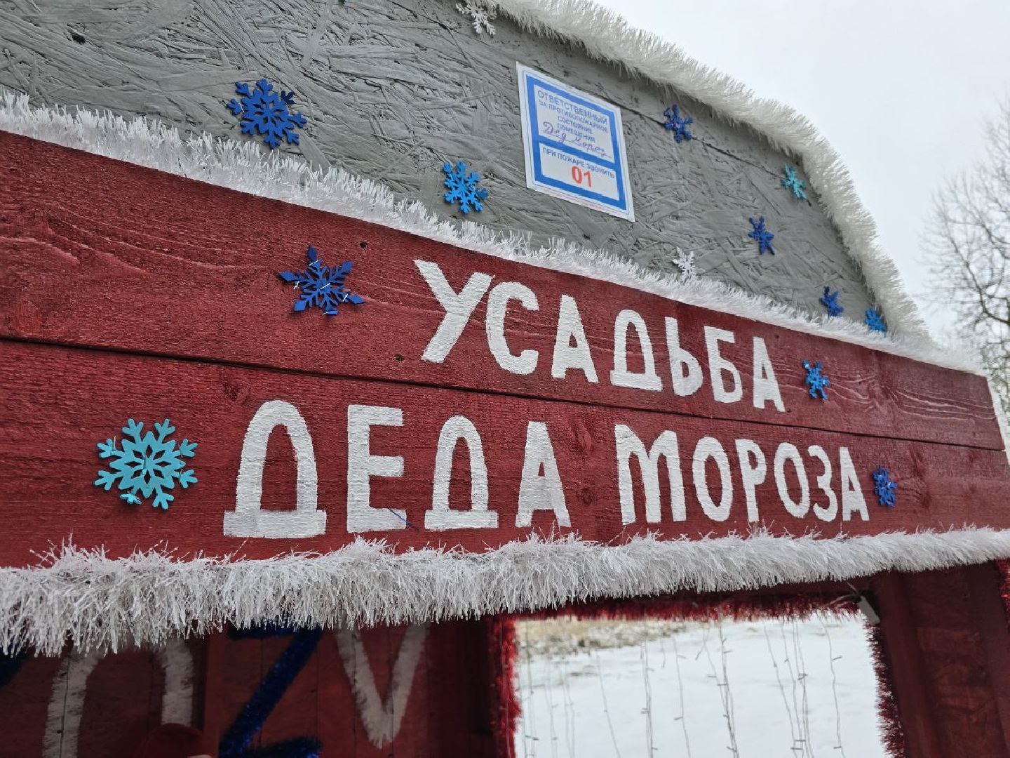 можайск, можайский муниципальный округ, подмосковье, фестиваль креативных елок, голосование, новый год,