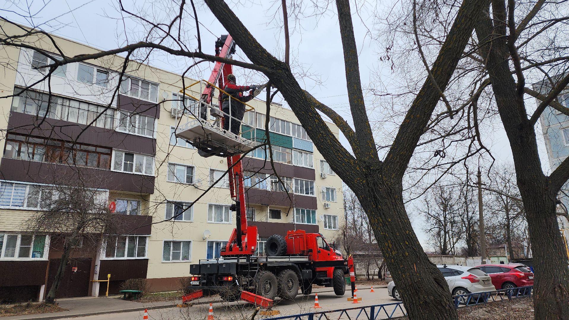 Бронницы, мбу благоустройство, спиливание веток, вертикалки,