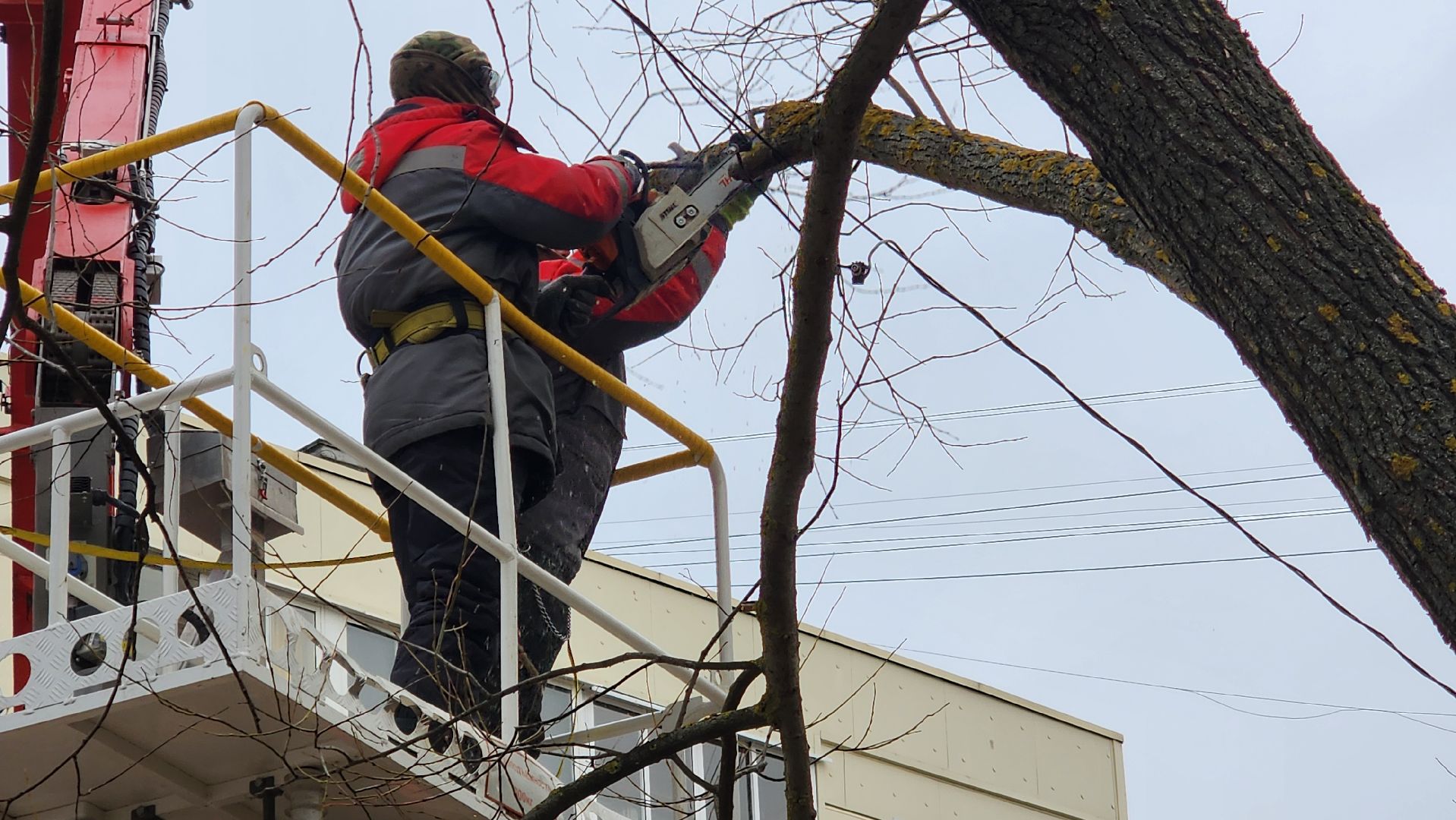 Бронницы, мбу благоустройство, спиливание веток, вертикалки,
