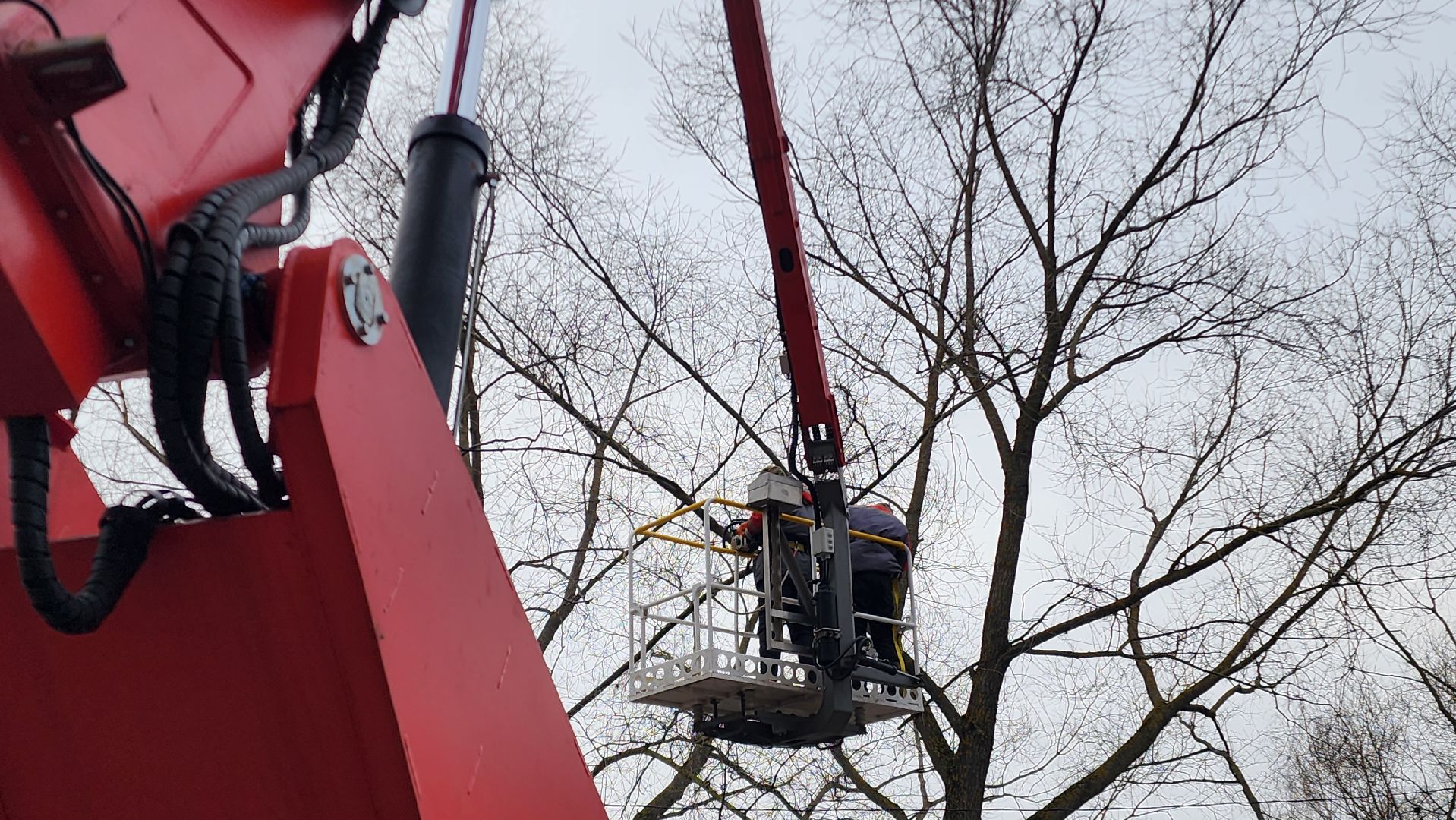 Бронницы, мбу благоустройство, спиливание веток, вертикалки,