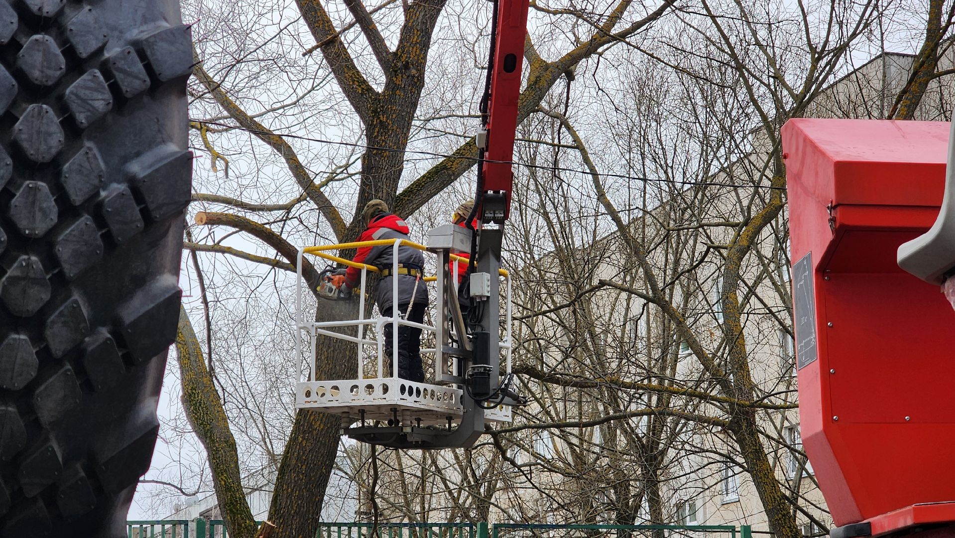 Бронницы, мбу благоустройство, спиливание веток, вертикалки,