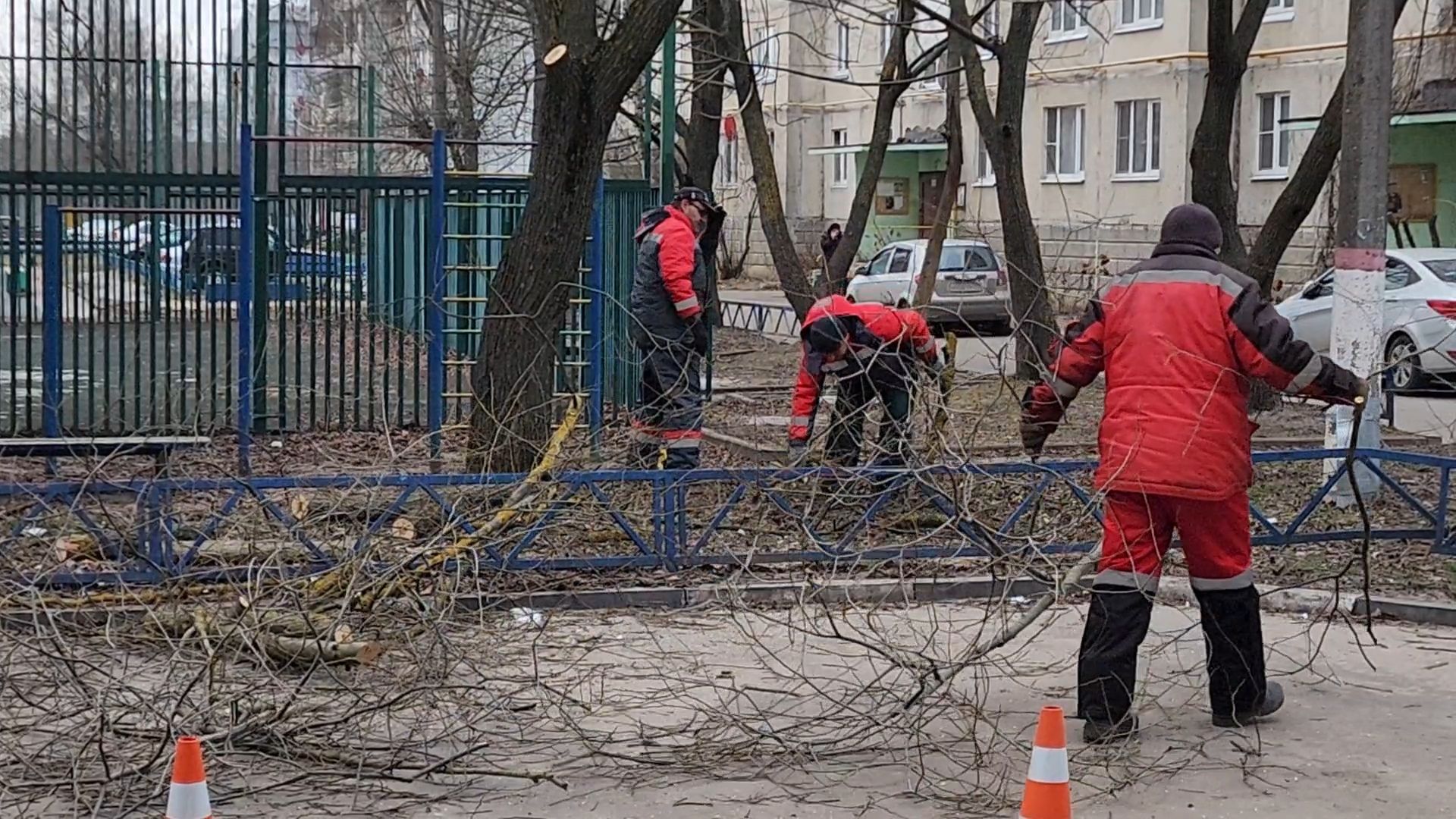 Бронницы, мбу благоустройство, спиливание веток, вертикалки,