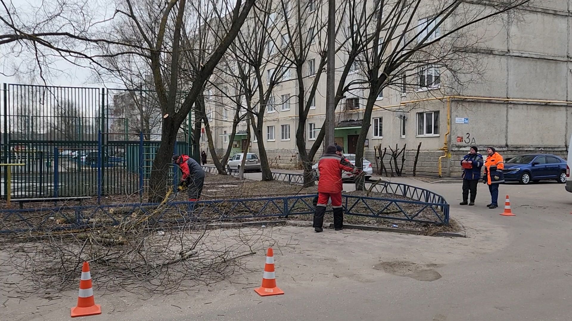 Бронницы, мбу благоустройство, спиливание веток, вертикалки,