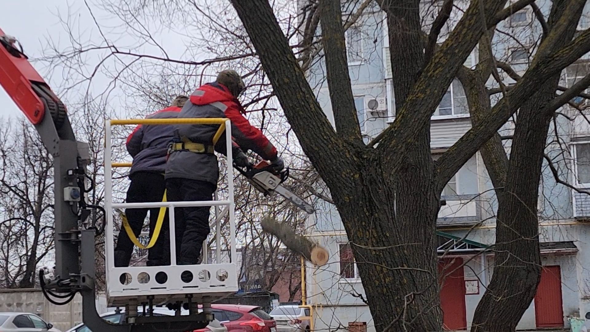 Бронницы, мбу благоустройство, спиливание веток, вертикалки,
