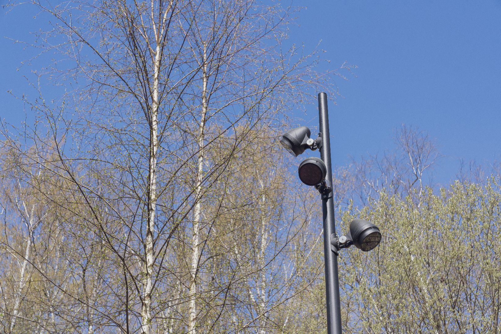 парк Взлёт, Парки Подмосковья, Домодедово