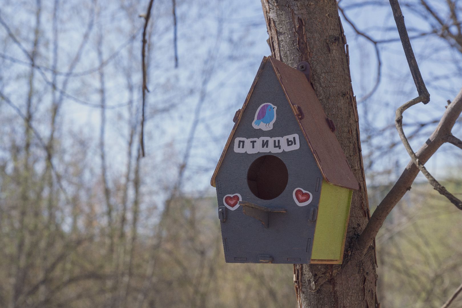 парк Взлёт, Парки Подмосковья, Домодедово