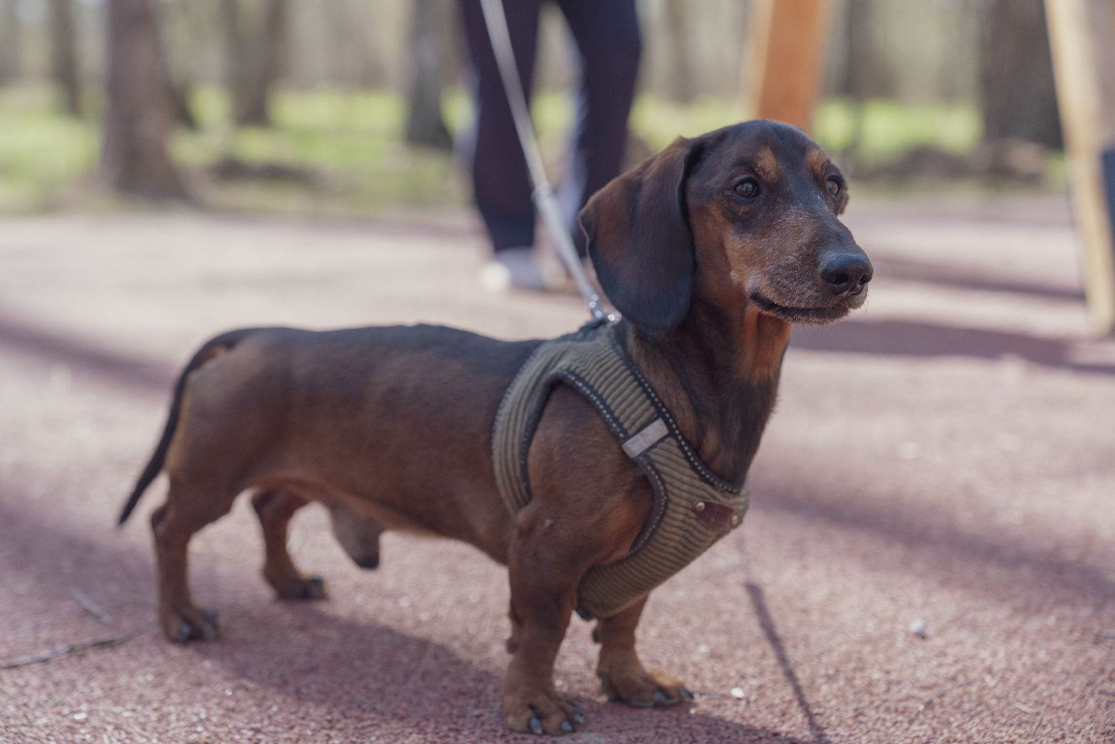 парк Взлёт, Парки Подмосковья, Домодедово