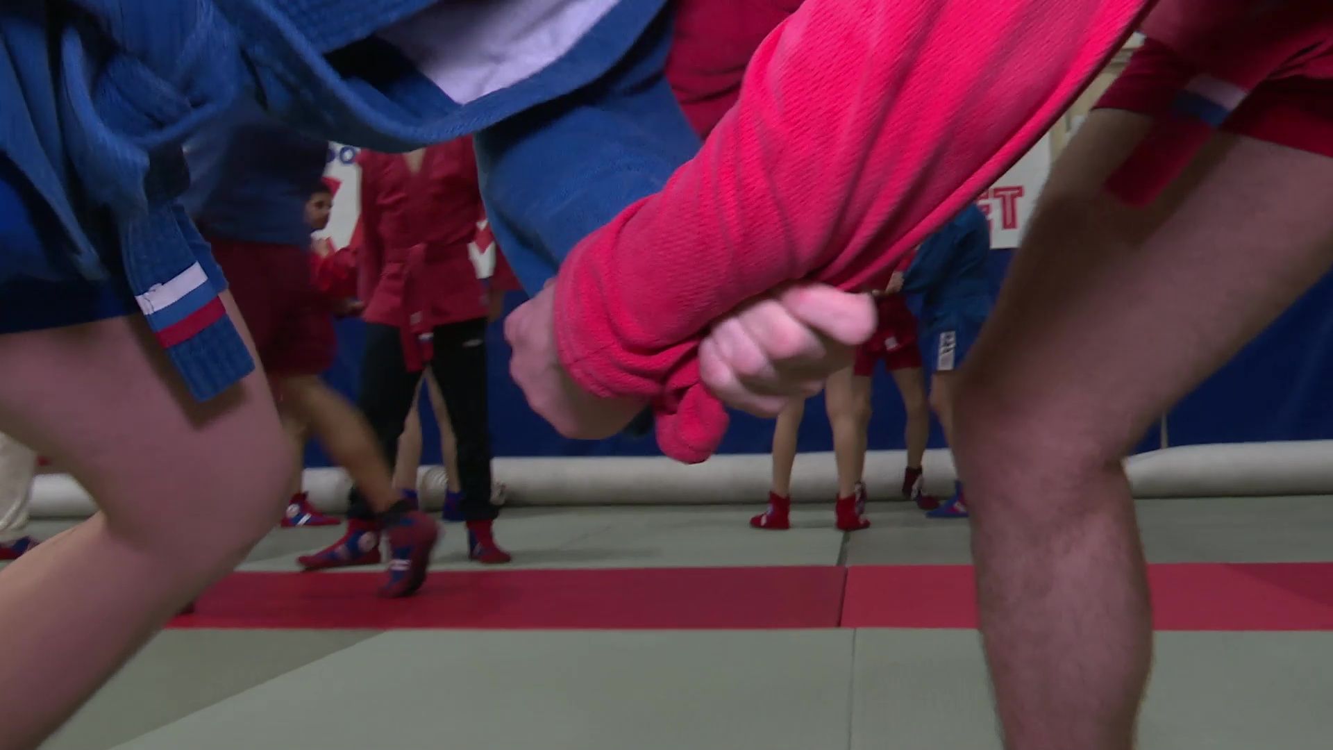 реутов, вертикалки, спорт, самбо, победа в соревнованиях, чемпионы,