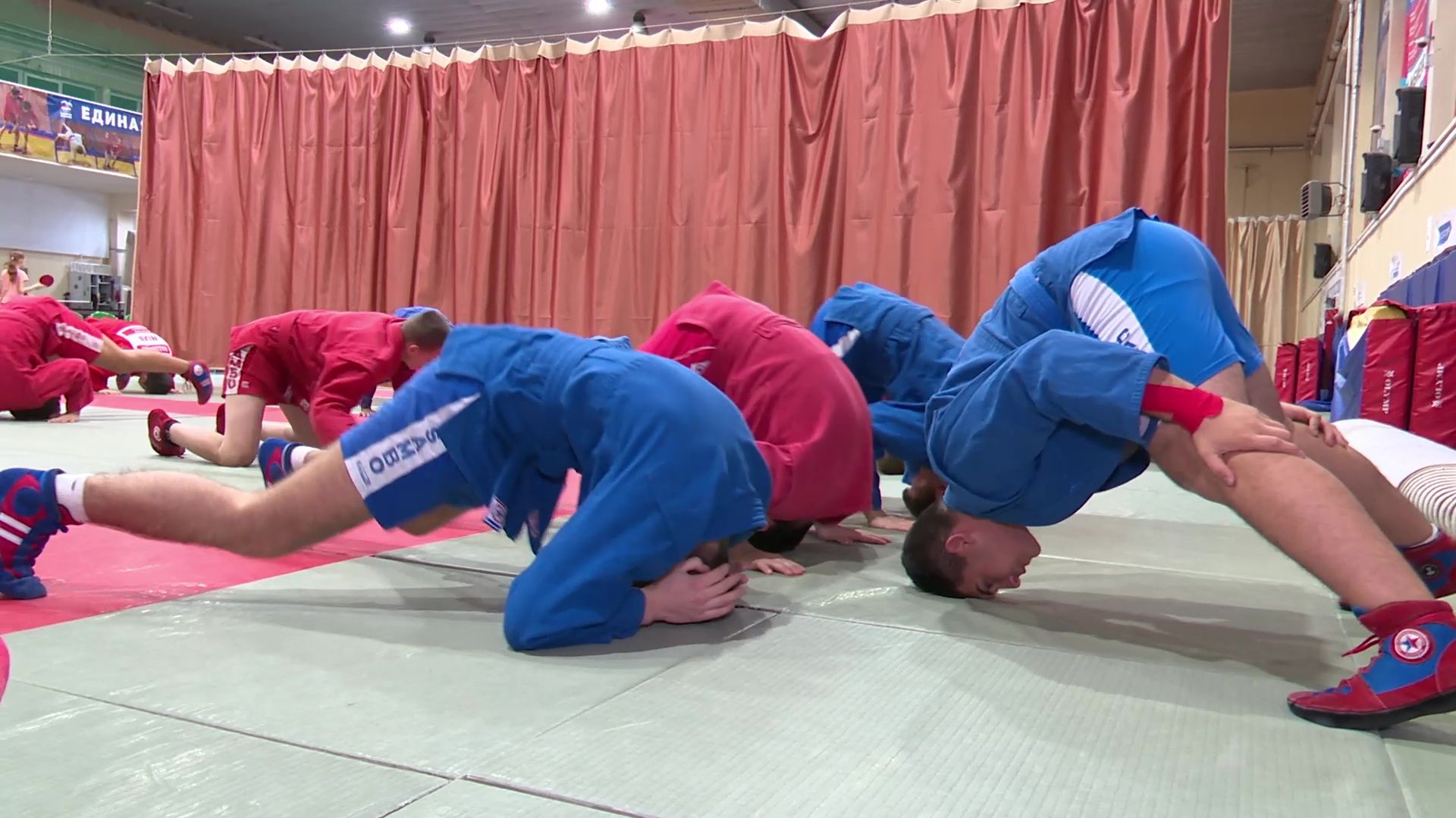 реутов, вертикалки, спорт, самбо, победа в соревнованиях, чемпионы,