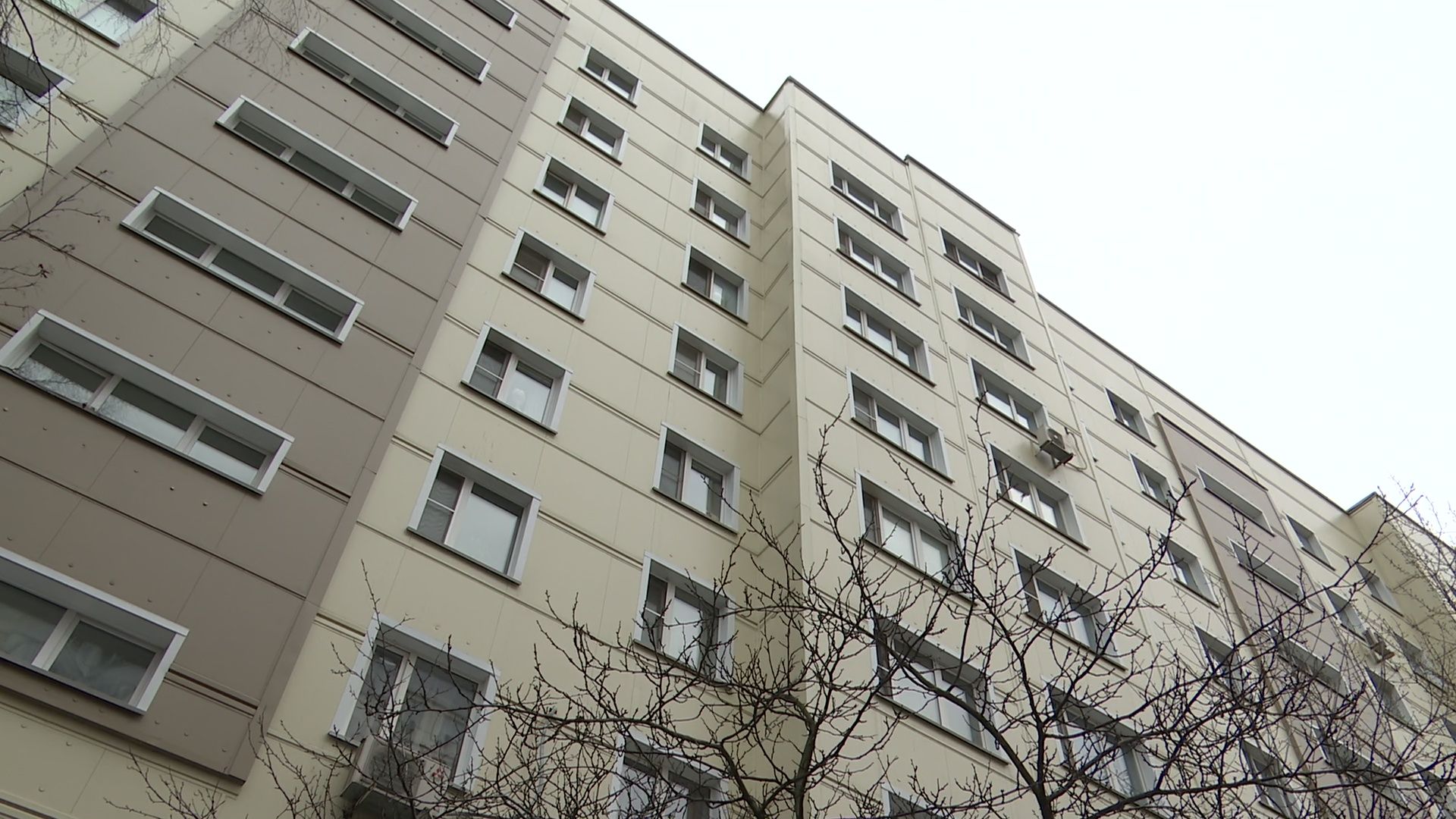 реутов, вертикалки, студент, татьянин день, день студента,