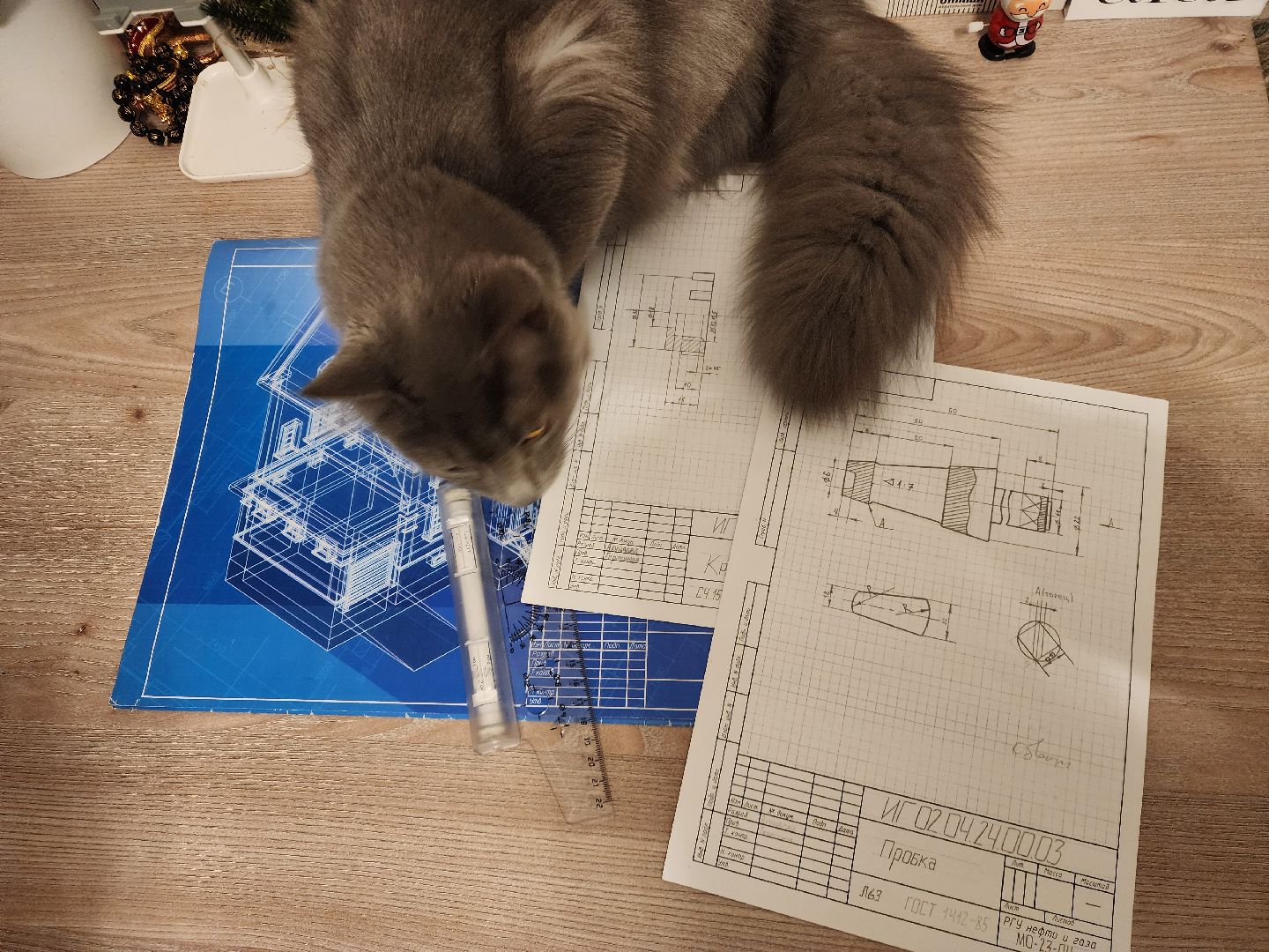 подольск, студентка, инженер,