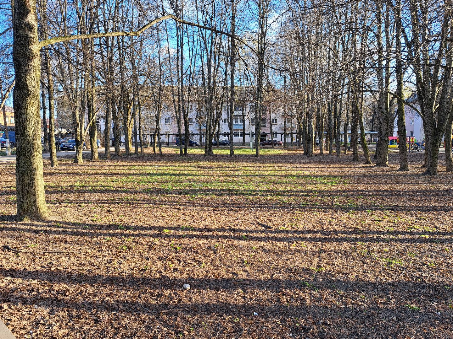 Рузский городской округ, Тучково, парк, сквер, благоустройство, голосование