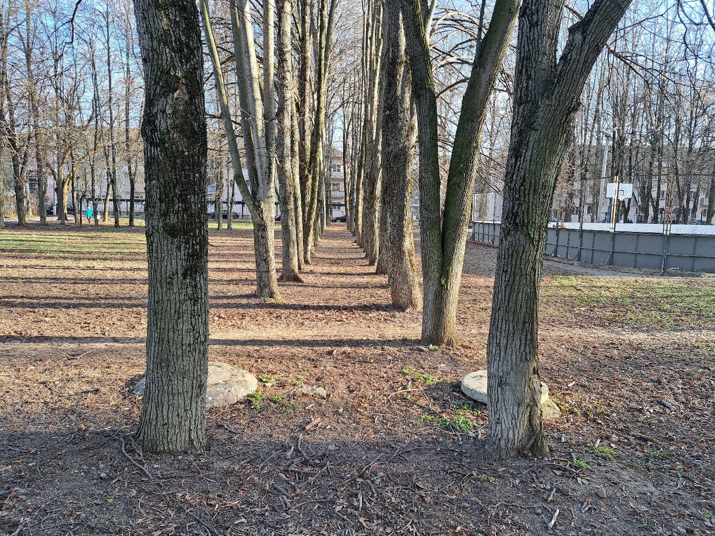 Рузский городской округ, Тучково, парк, сквер, благоустройство, голосование