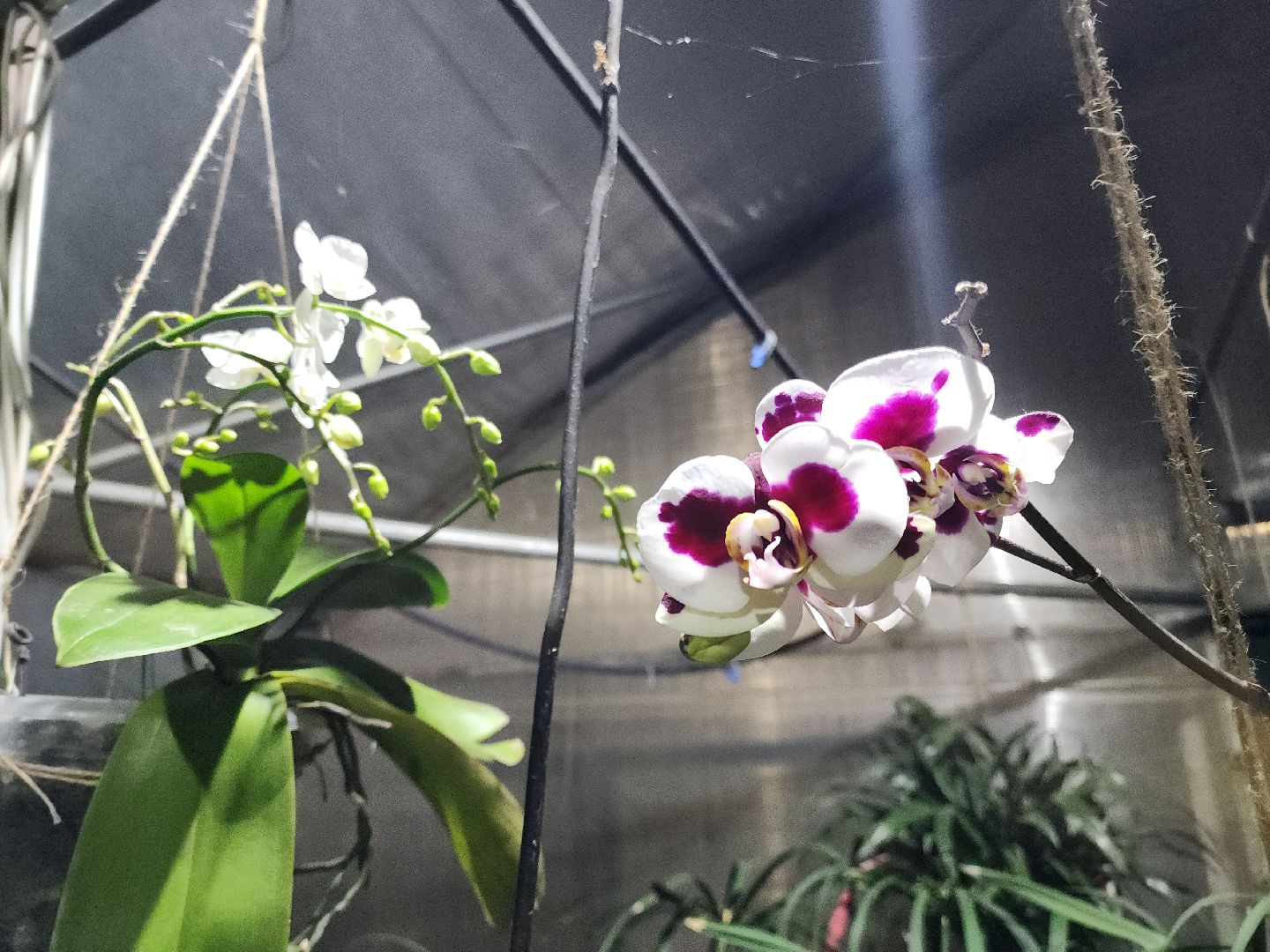 Подольск, Школа 29 имени Забродина, Инженерный класс, Семинар,