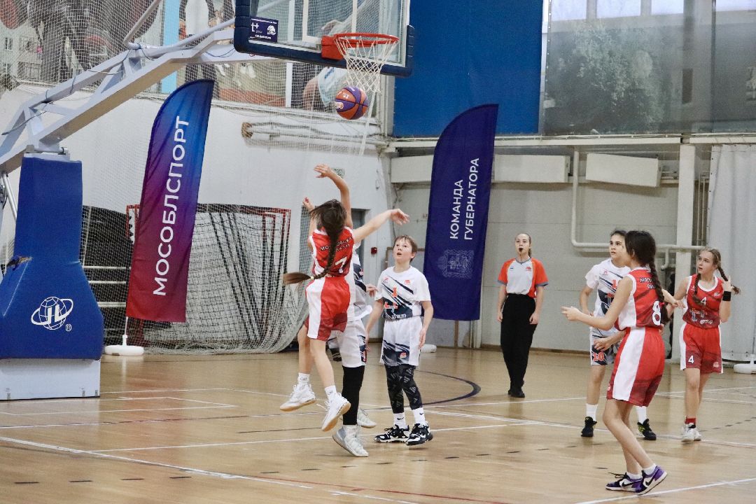 Фрязино, общество