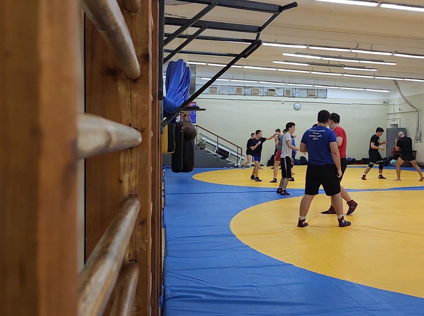 Дубна, Студент, Чемпион, Боевое самбо, Победитель первенства мира, вертикалки,