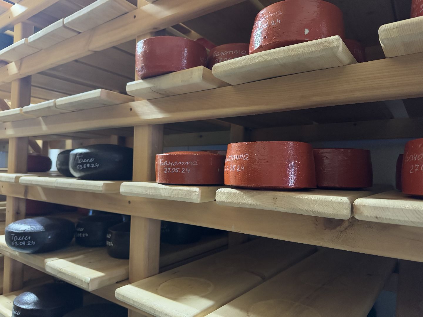 шаховская, сыроварня, сыроварня в шаховской, сыроварня ройгас, вертикалки,