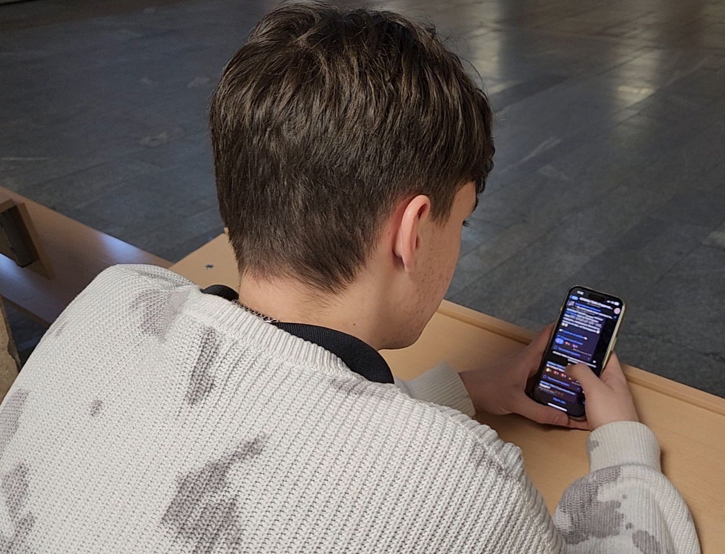 Дубна, Студсовет, День студента, Праздник, Университет Дубна,вертикалки,