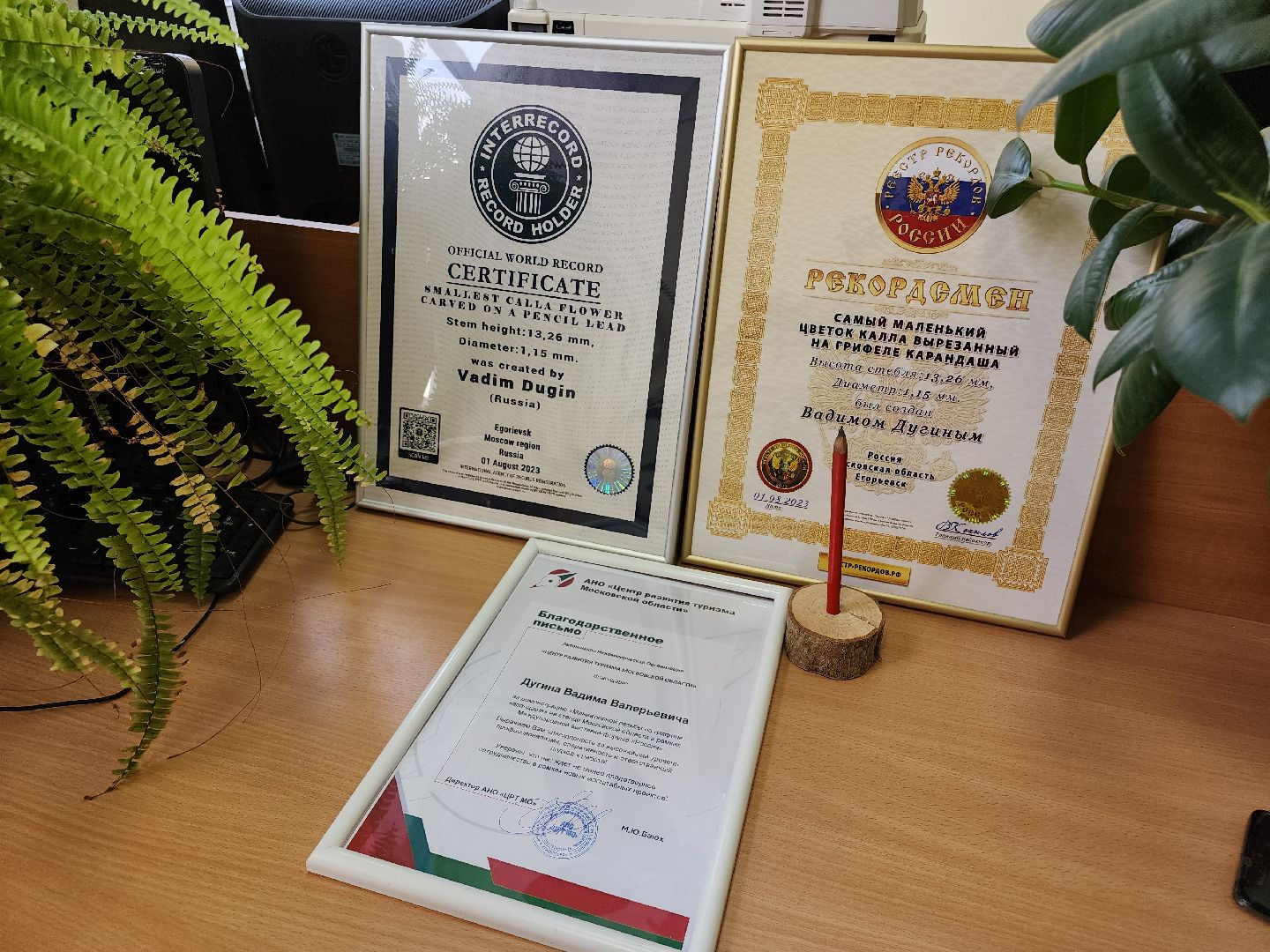 Егорьевск, Подмосковье, Московская область, вертикалки,