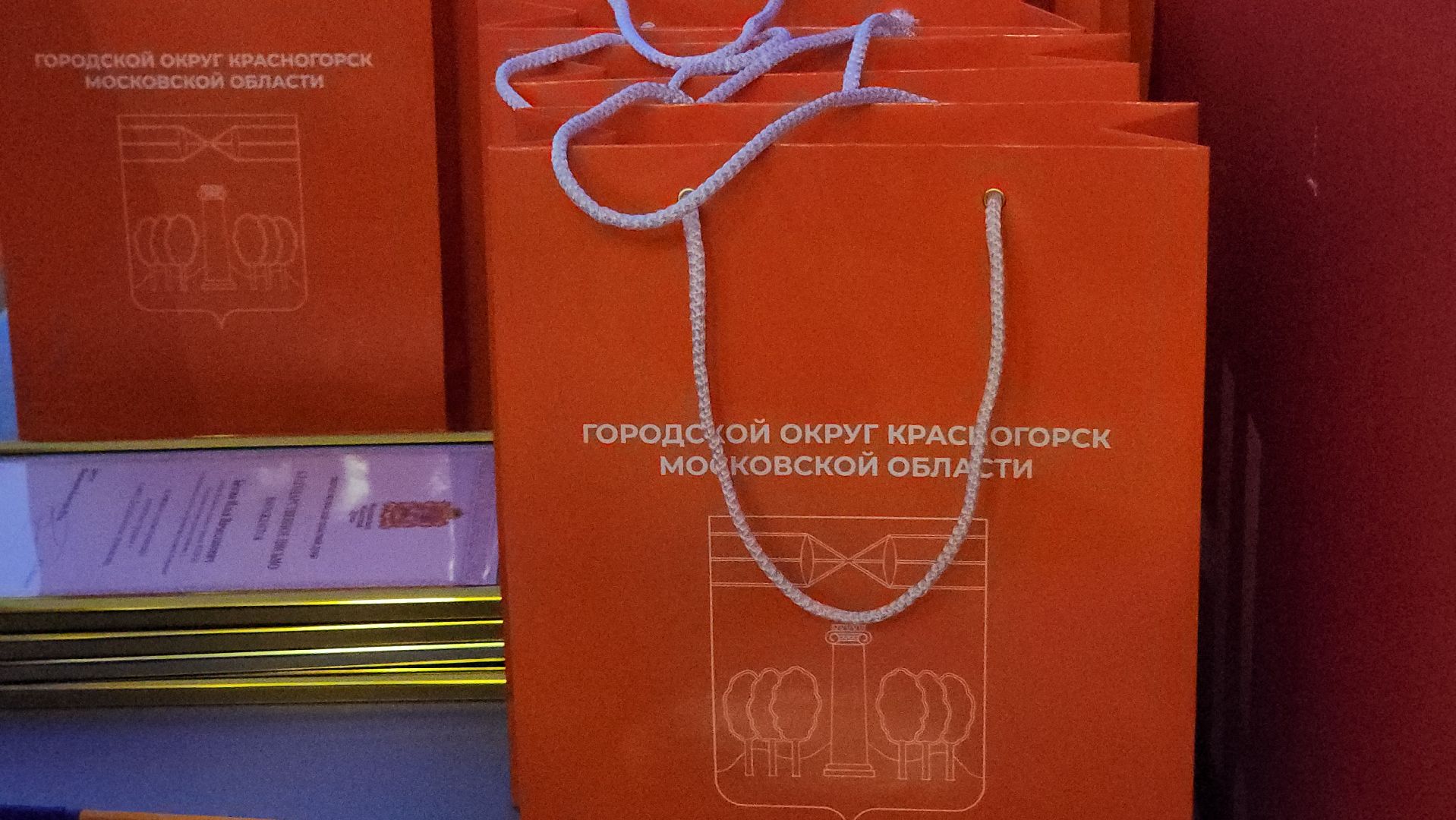 красногорск, день студента, татьянин день, вертикалки,