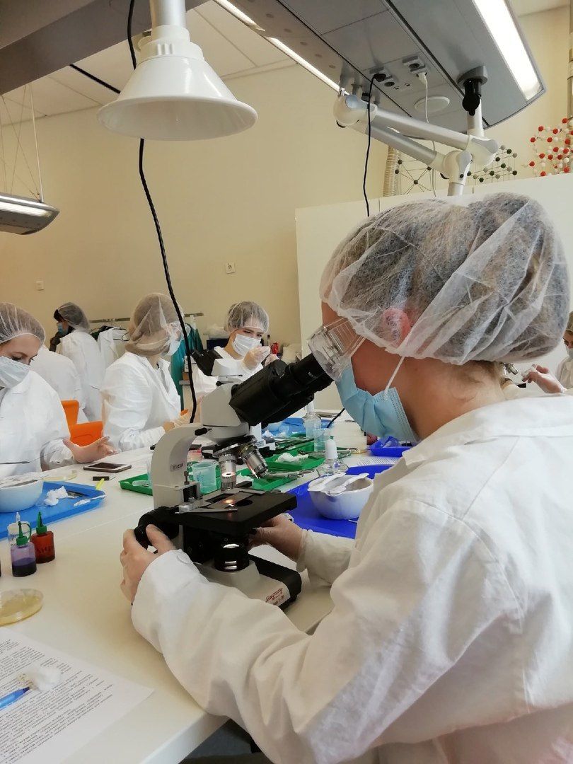 мфти, день студента, татьянин день, балет, биология, экспресс-анализ, вертикалки,