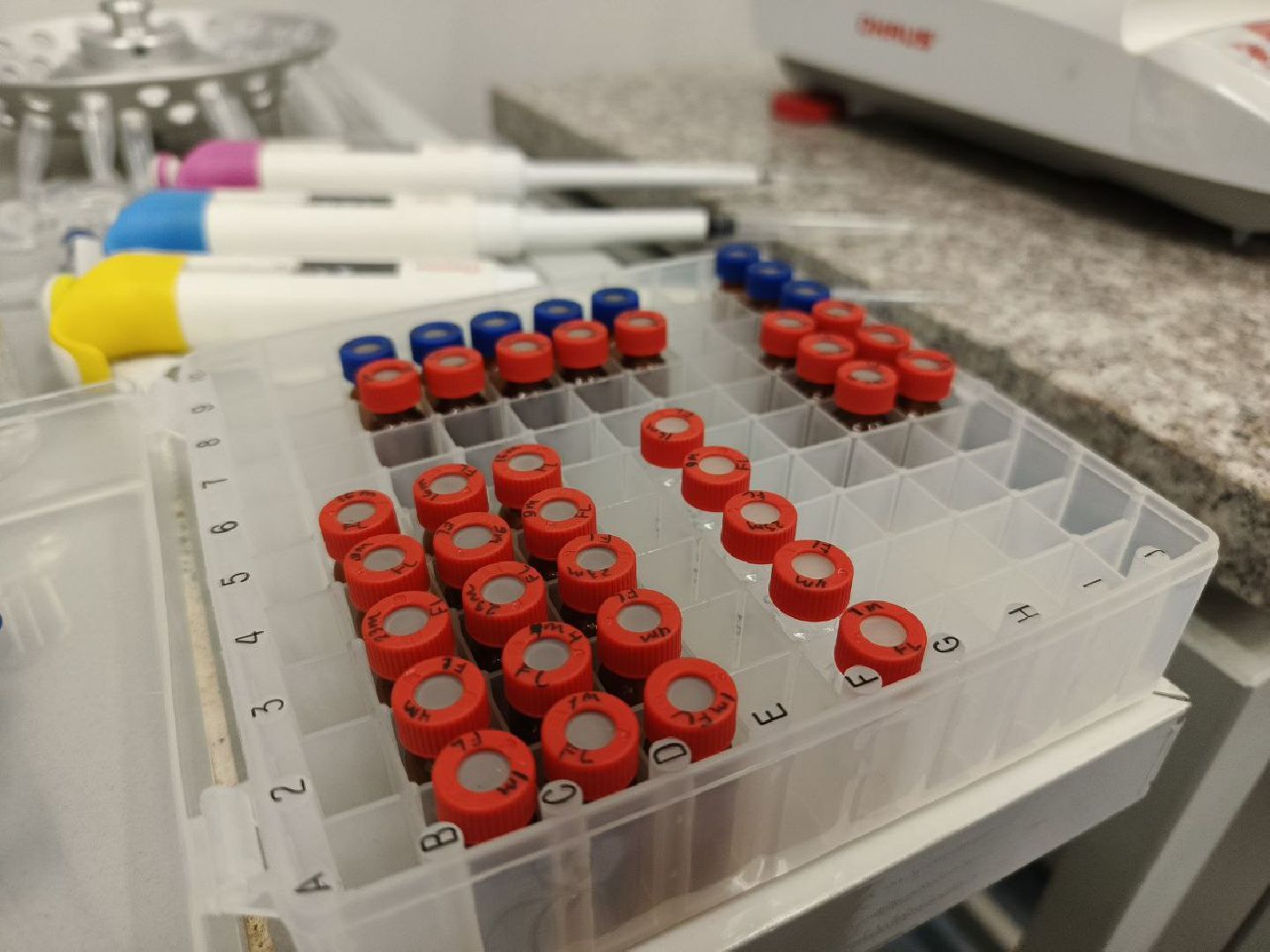 мфти, день студента, татьянин день, балет, биология, экспресс-анализ, вертикалки,