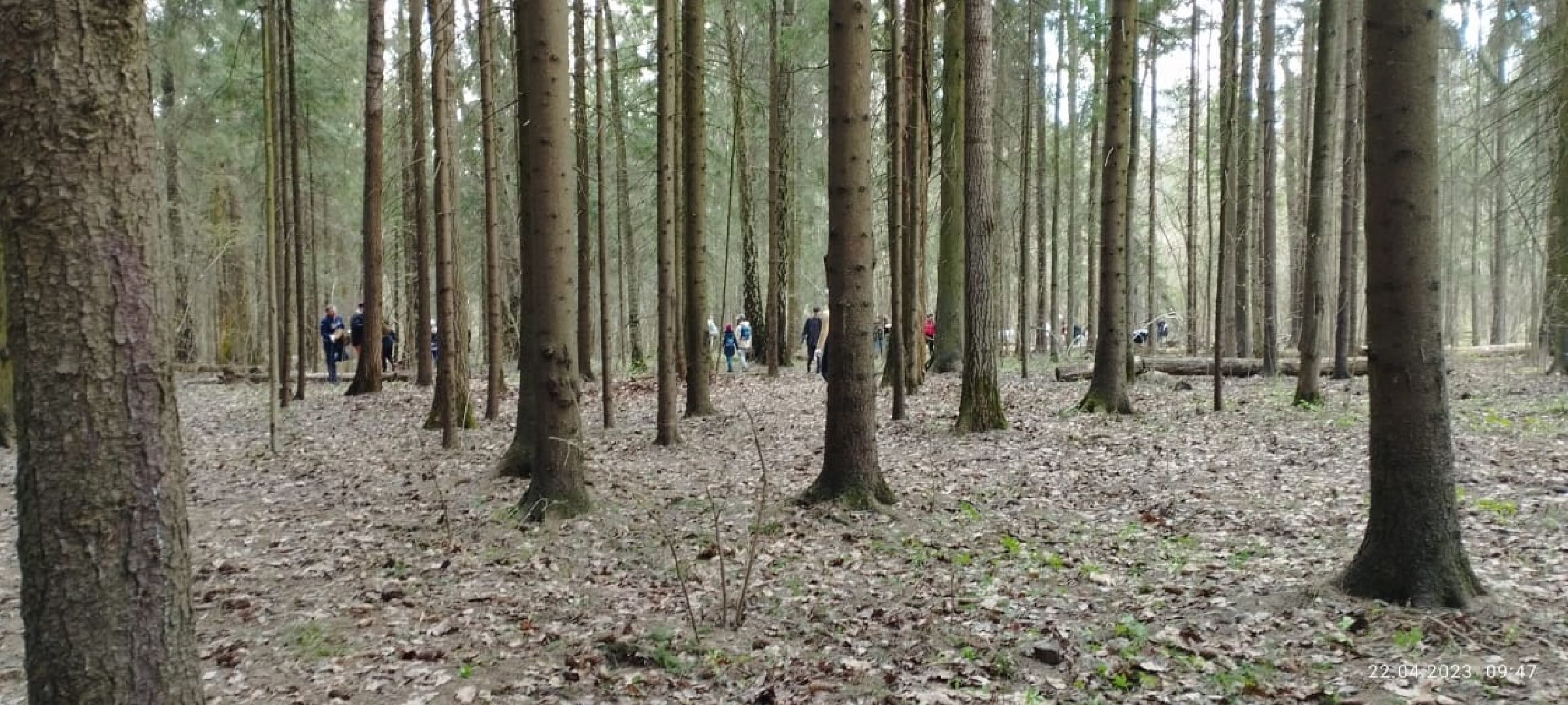 Одинцово, Субботник, Парк, Подмосковье