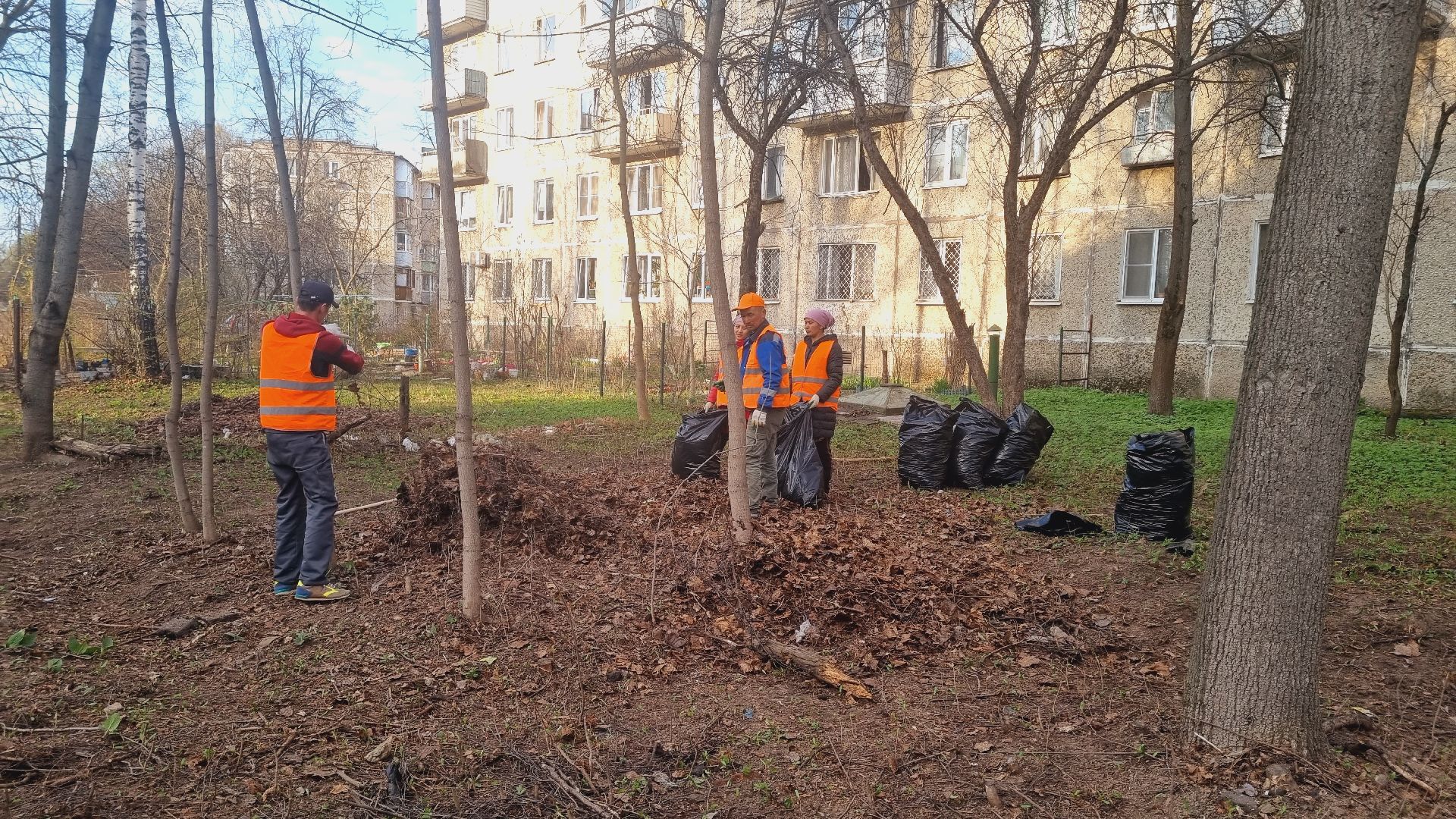 Подмосковье, Ивантеевка, субботник