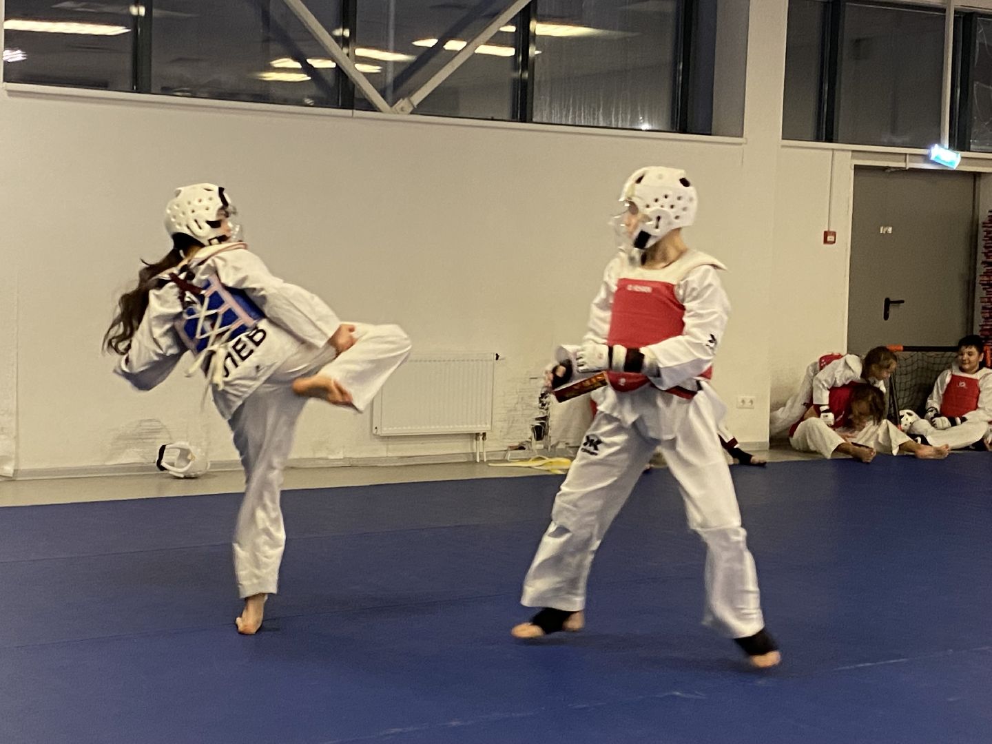 Тхэквондо, Спорт, Кубок, Истра,