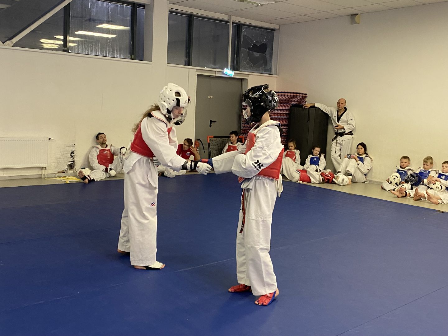 Тхэквондо, Спорт, Кубок, Истра,