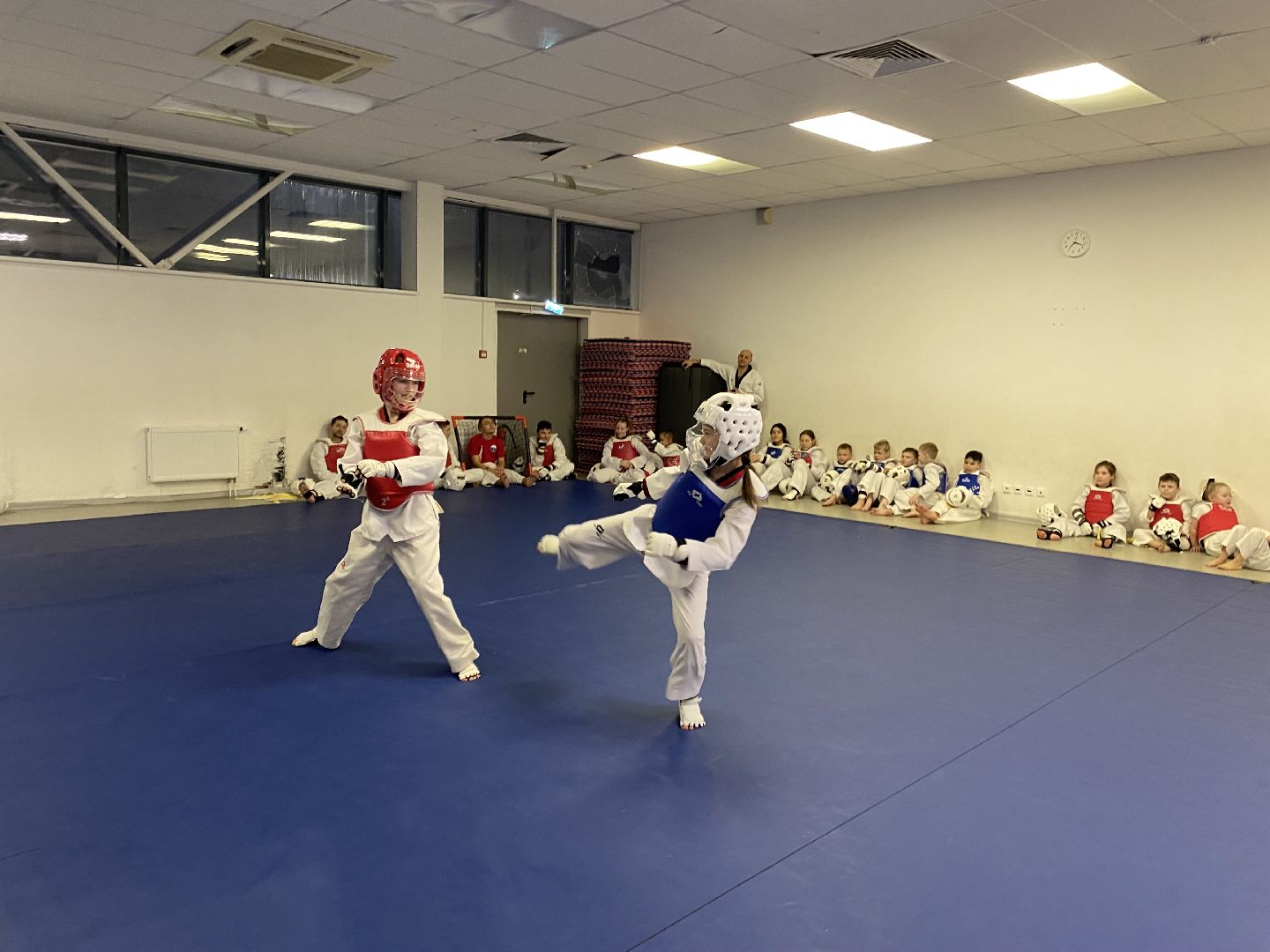 Тхэквондо, Спорт, Кубок, Истра,