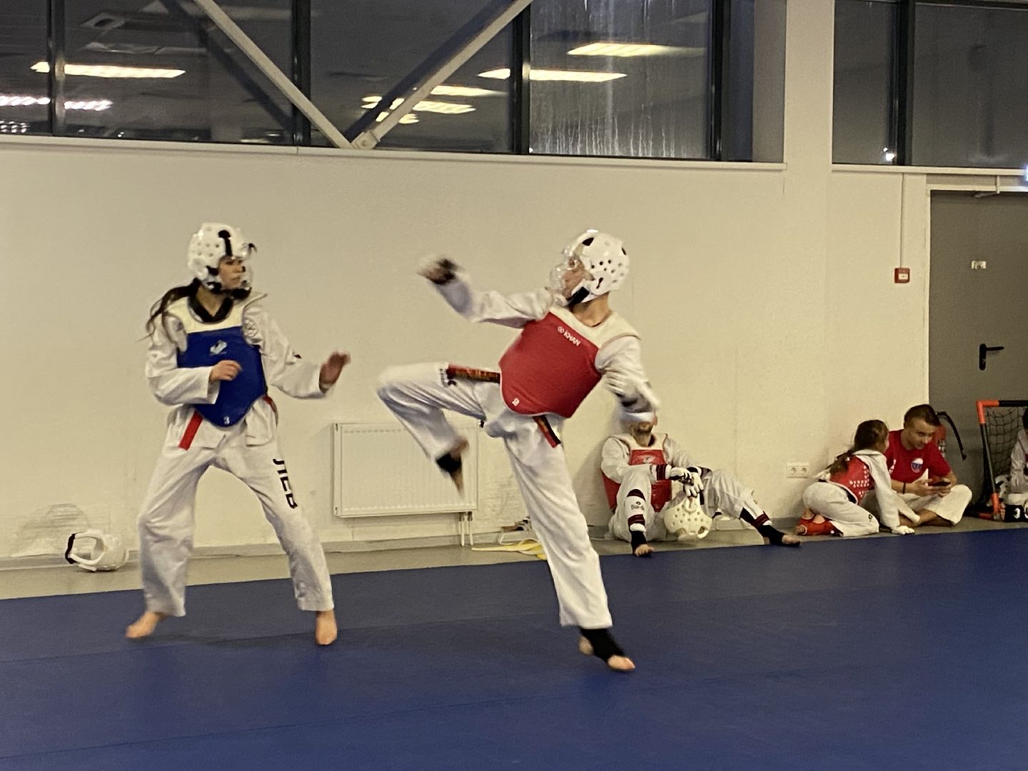 Тхэквондо, Спорт, Кубок, Истра,