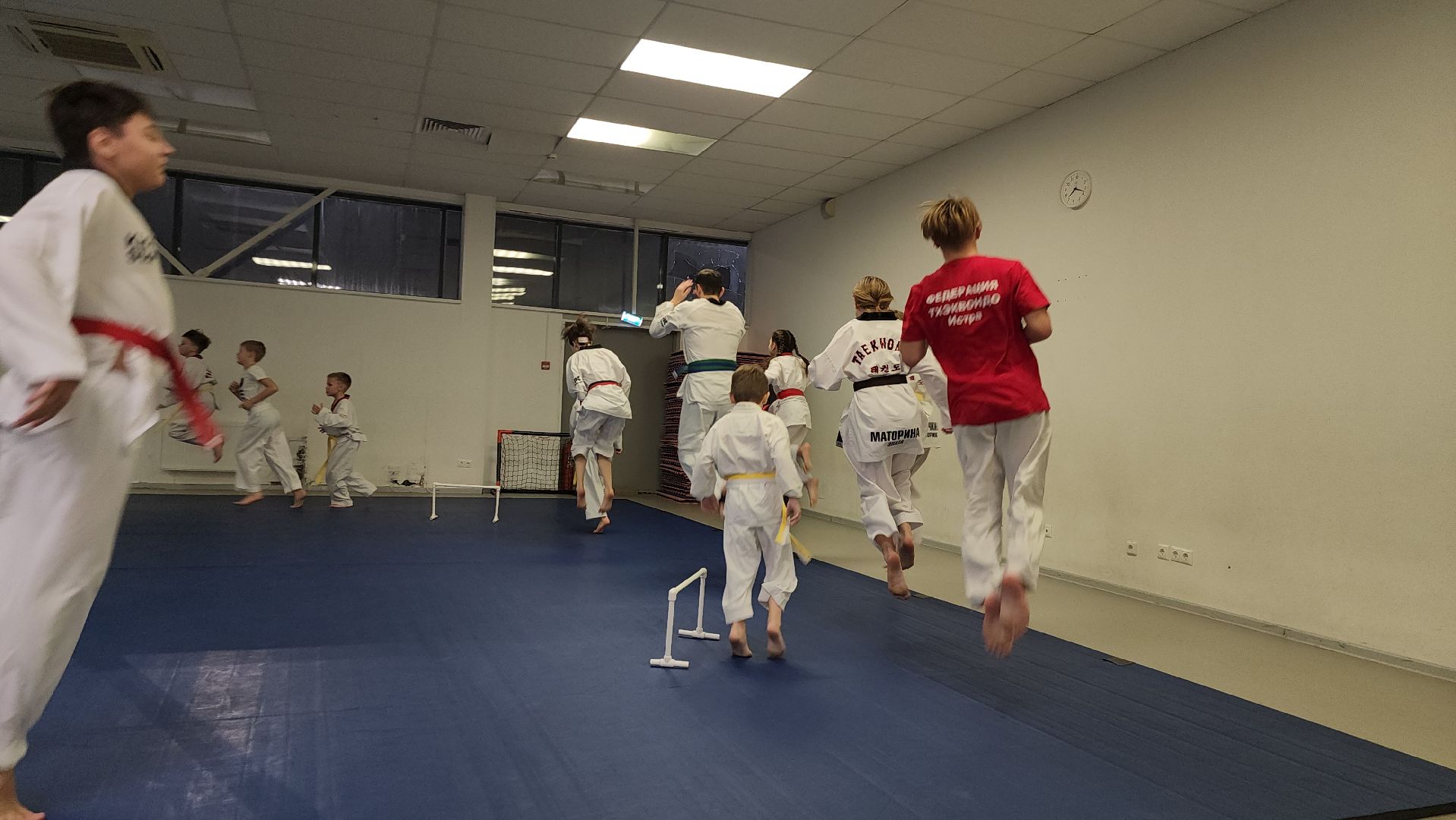 Тхэквондо, Спорт, Кубок, Истра,