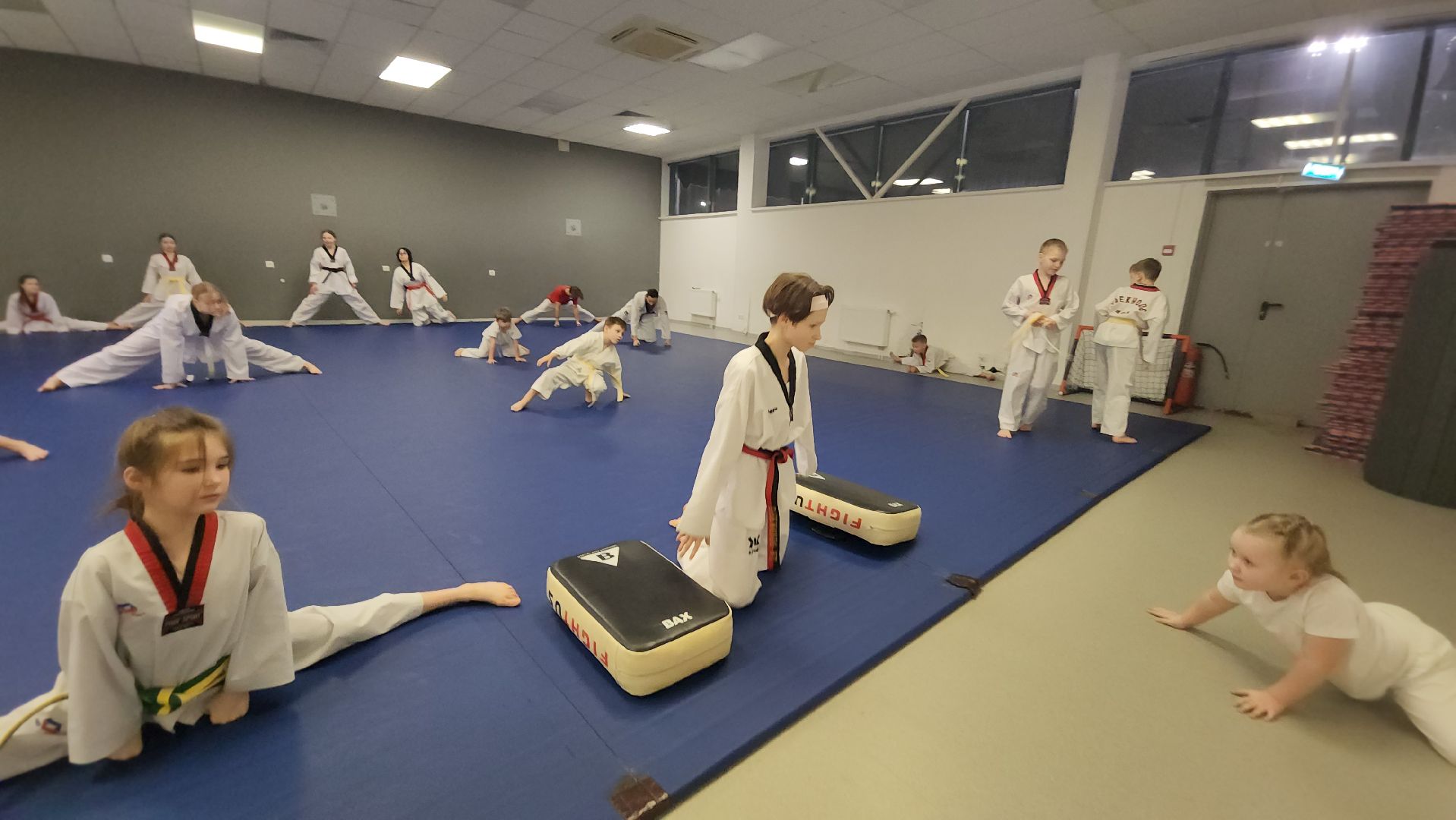 Тхэквондо, Спорт, Кубок, Истра,