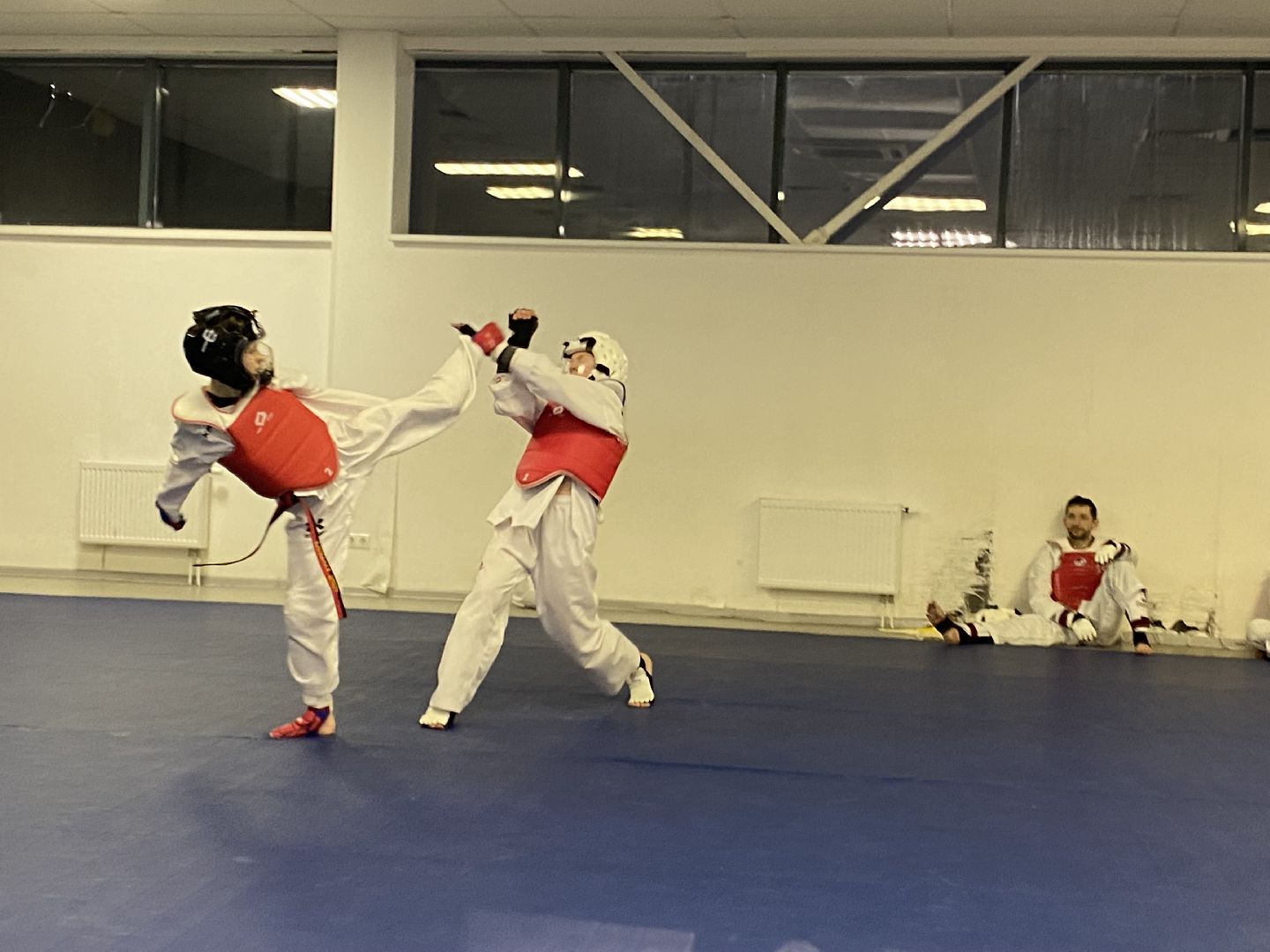 Тхэквондо, Спорт, Кубок, Истра,