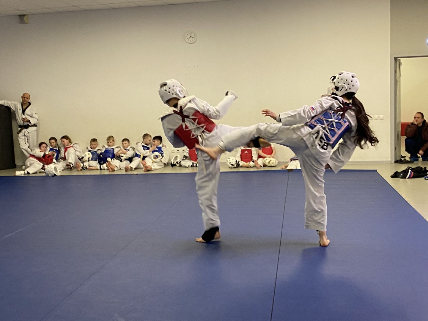 Тхэквондо, Спорт, Кубок, Истра,