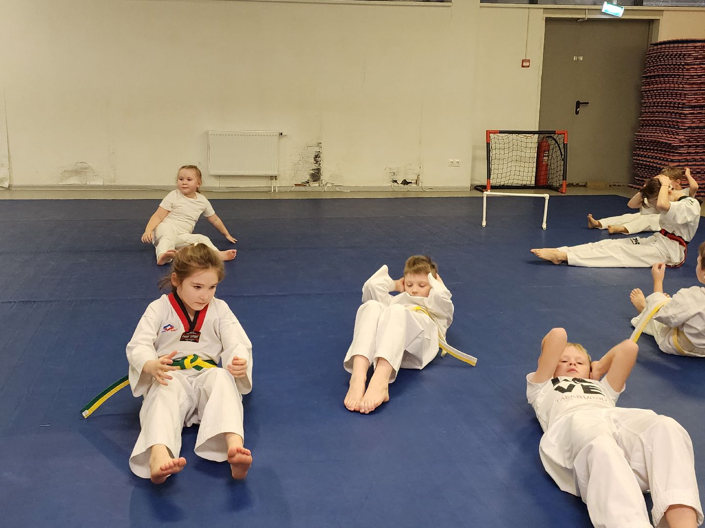 Тхэквондо, Спорт, Кубок, Истра,