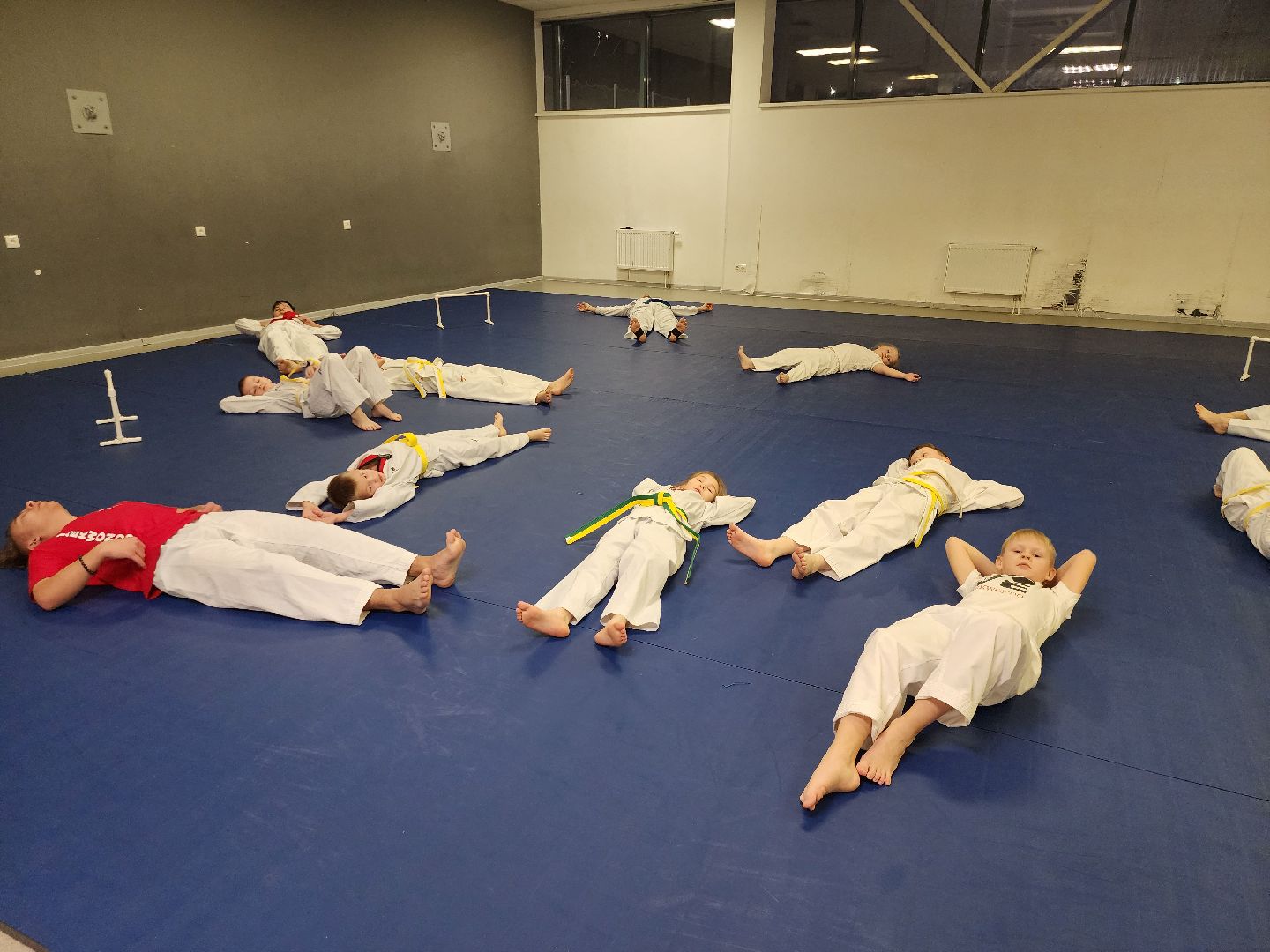 Тхэквондо, Спорт, Кубок, Истра,