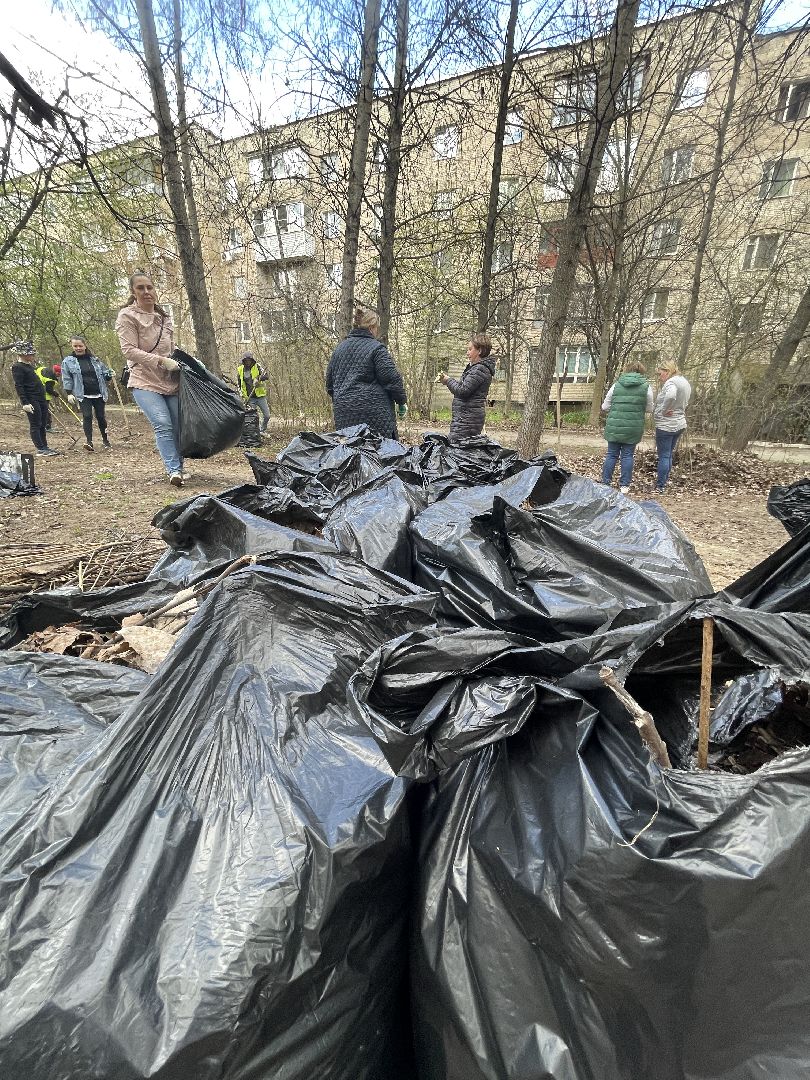 Лесной городок, Одинцово, благоустройство, субботник, администрация, ЖКХ, граждане
