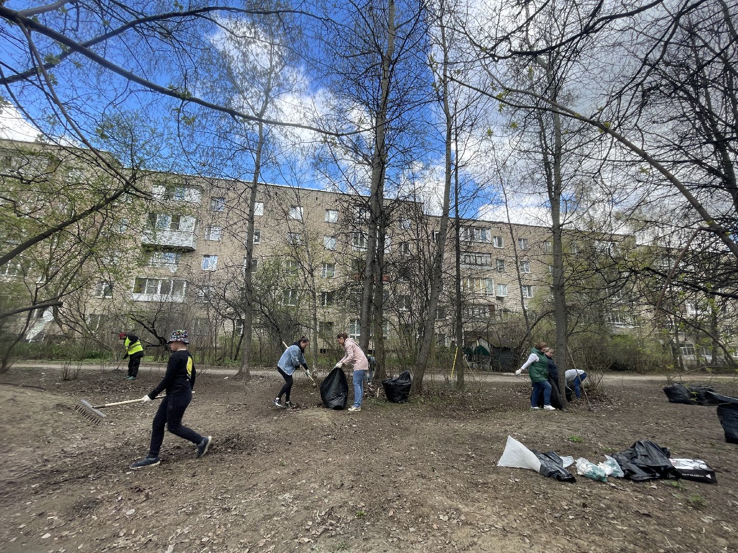 Лесной городок, Одинцово, благоустройство, субботник, администрация, ЖКХ, граждане