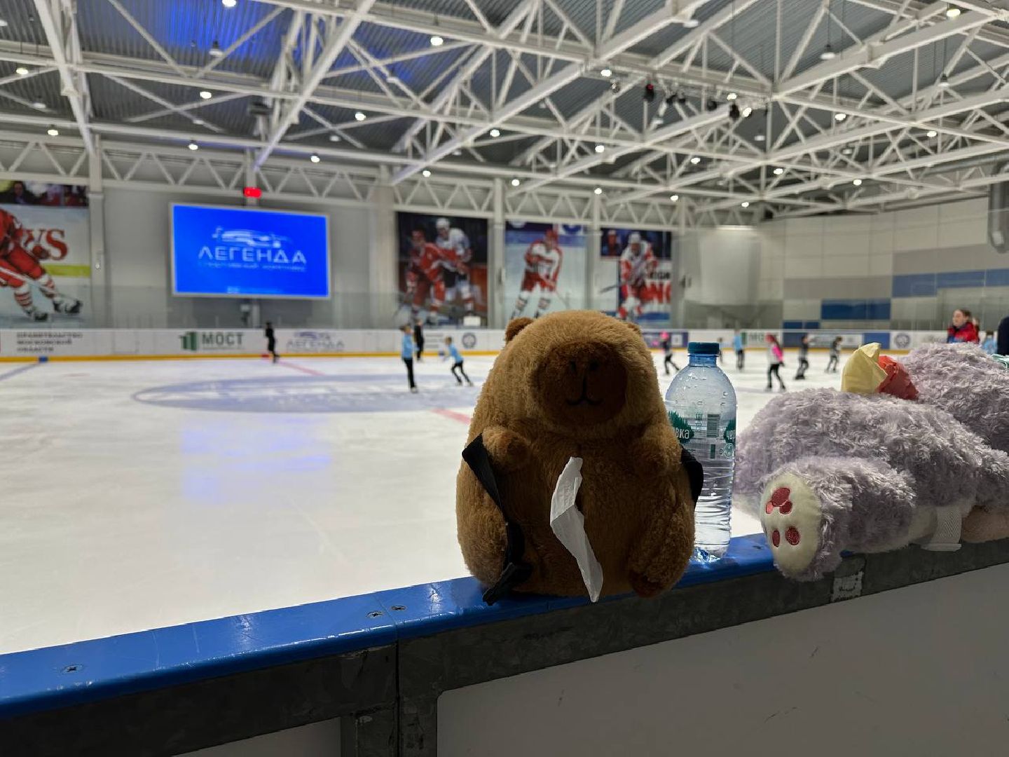 фигурное катание, спорт,