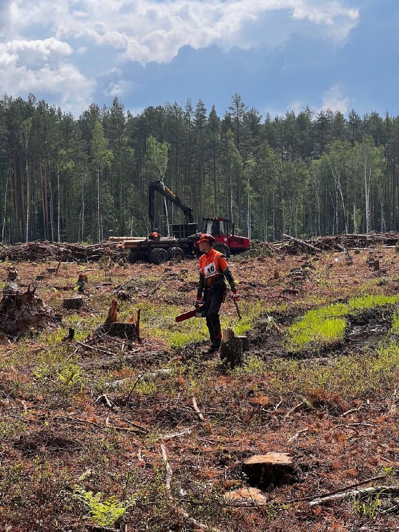 техникум, лесное хозяйство, студент, соревнования, профессиональное образование,