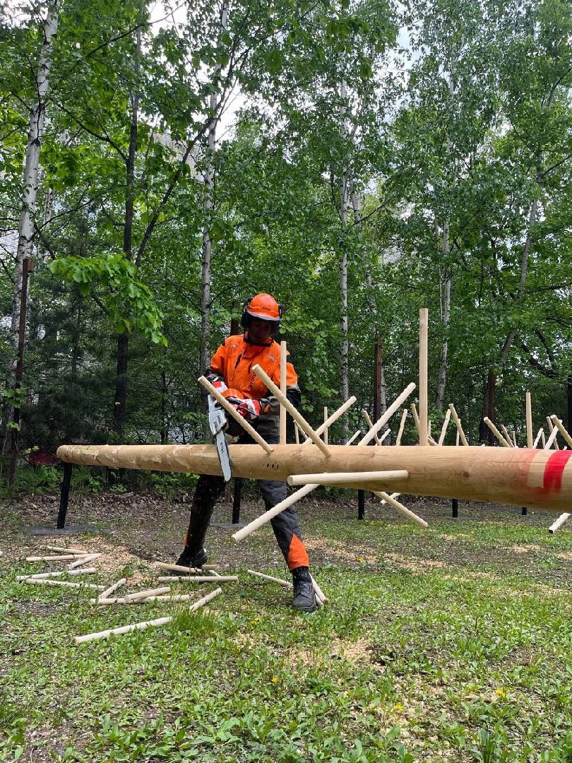 техникум, лесное хозяйство, студент, соревнования, профессиональное образование,