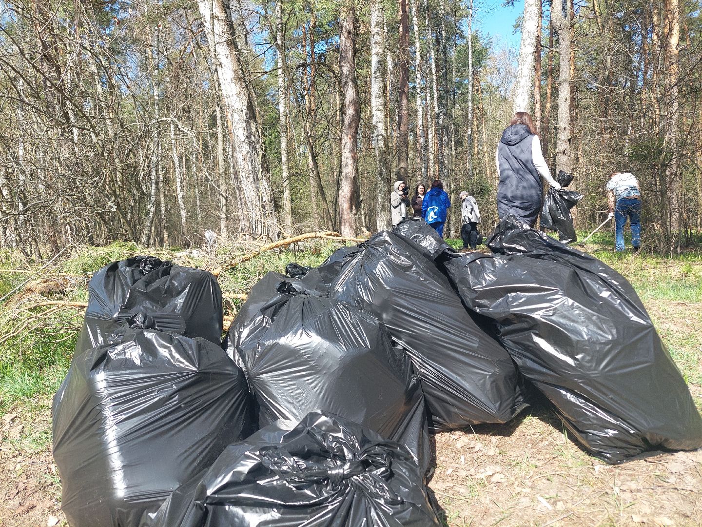 благоустройство, субботник, РИАМО, МИСК