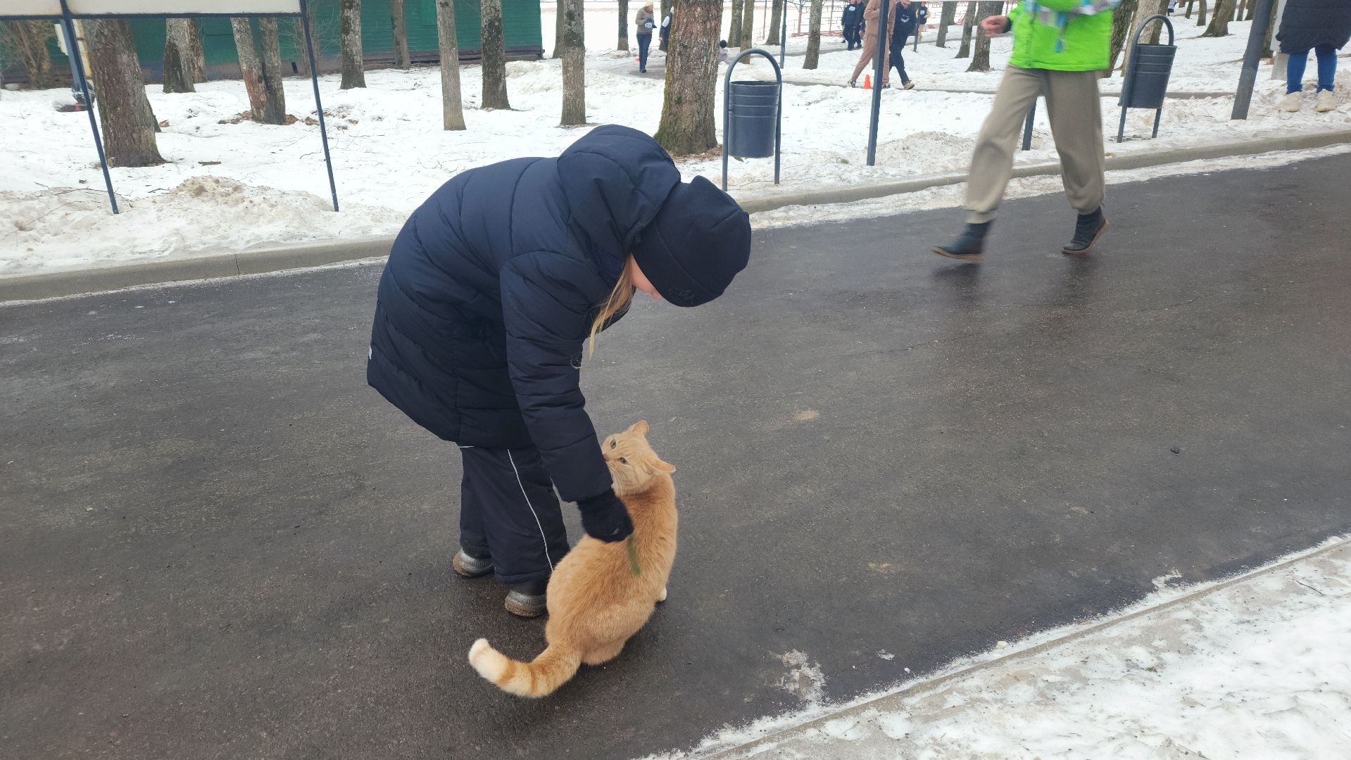 спорт, волоколамск, крещенский забег, вертикалки,