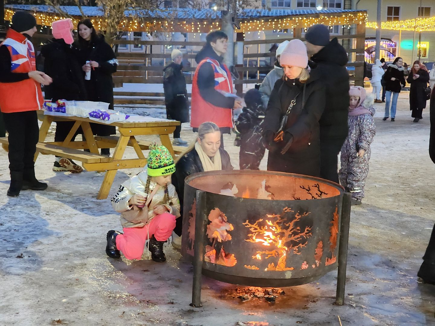 Дубна, День студента, зачетный парк, татьянин день, вертикалки
