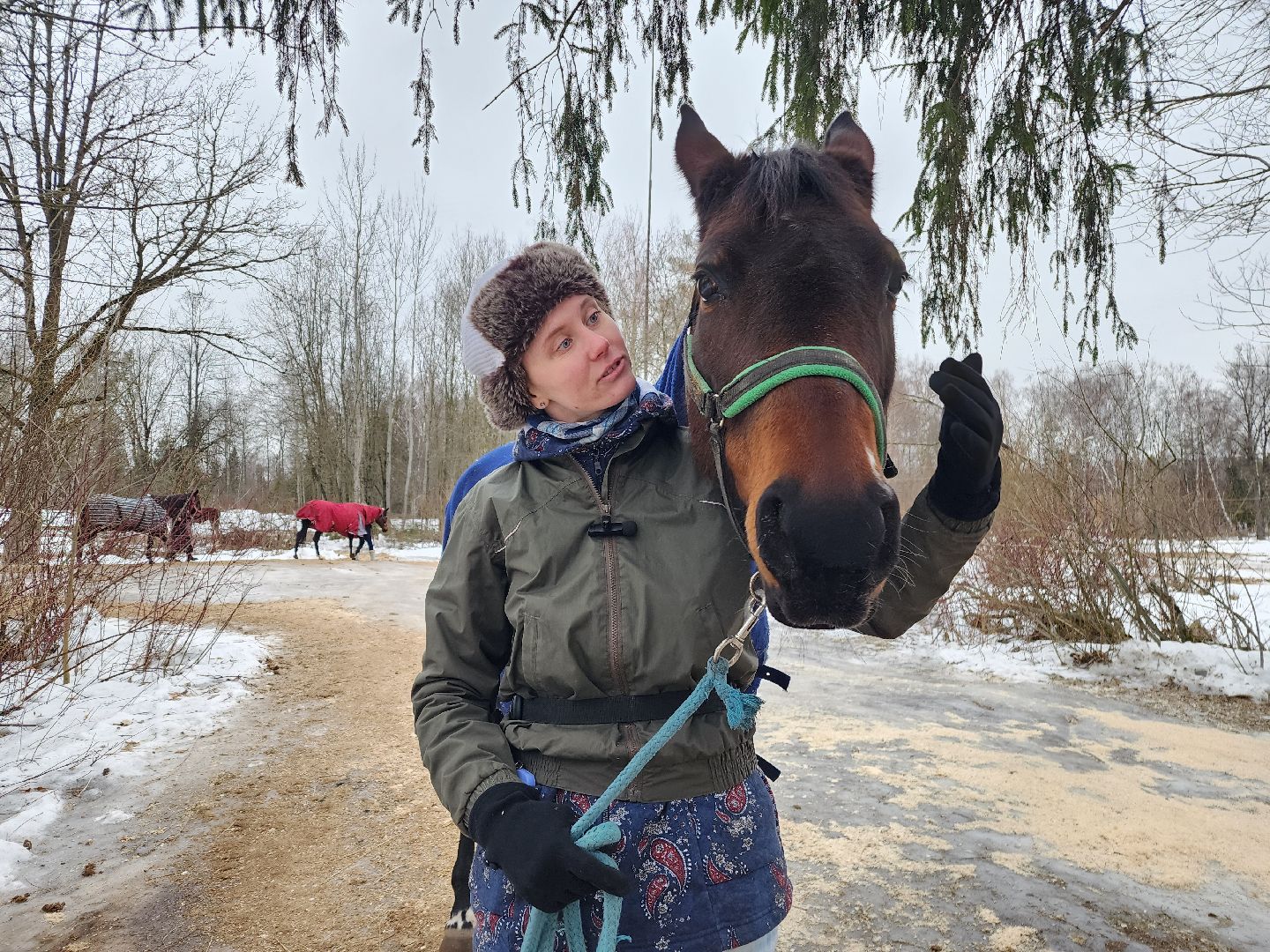 фрязино, лошади, конно-спортивная школа, массаж,