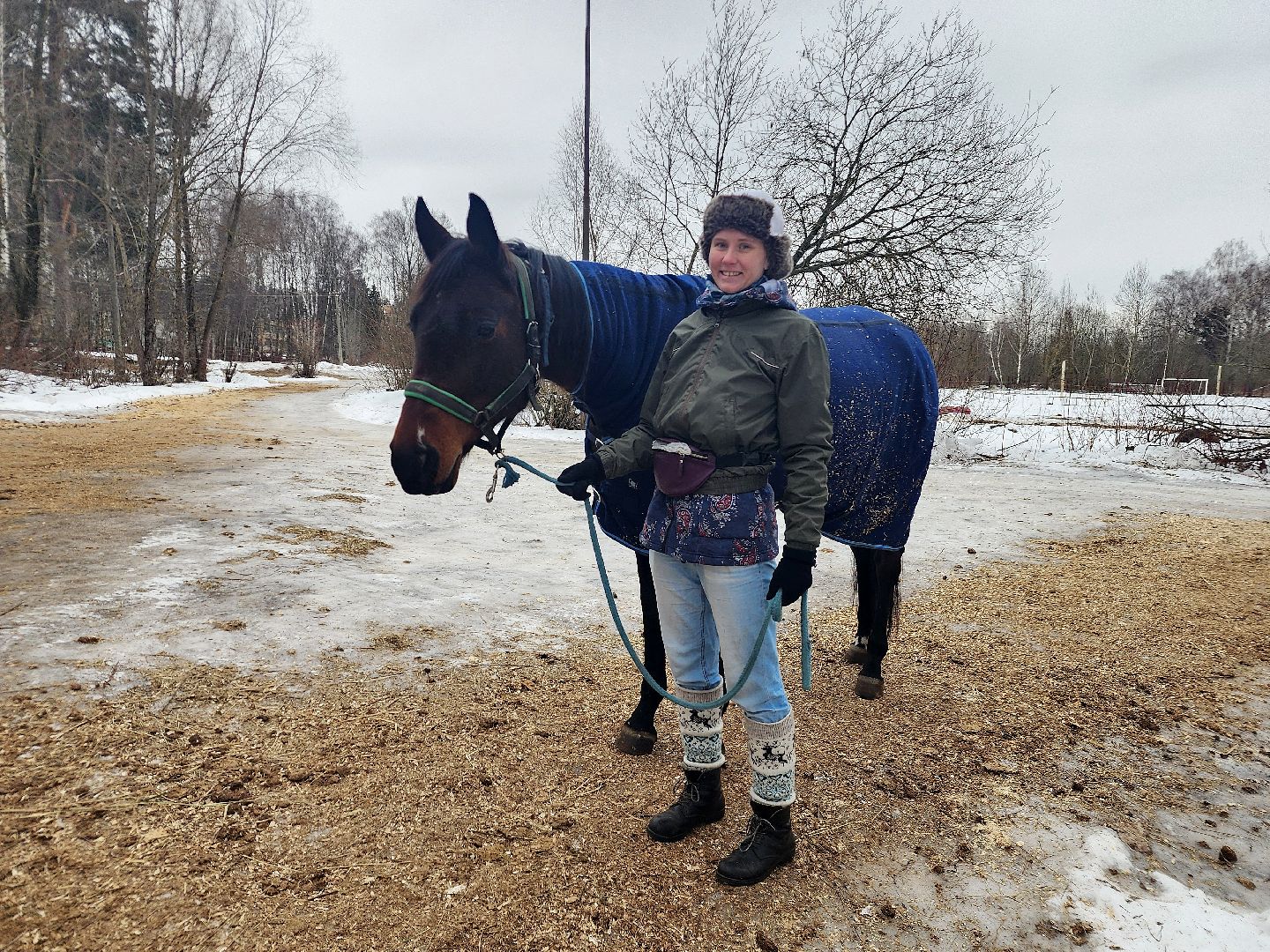 фрязино, лошади, конно-спортивная школа, массаж,