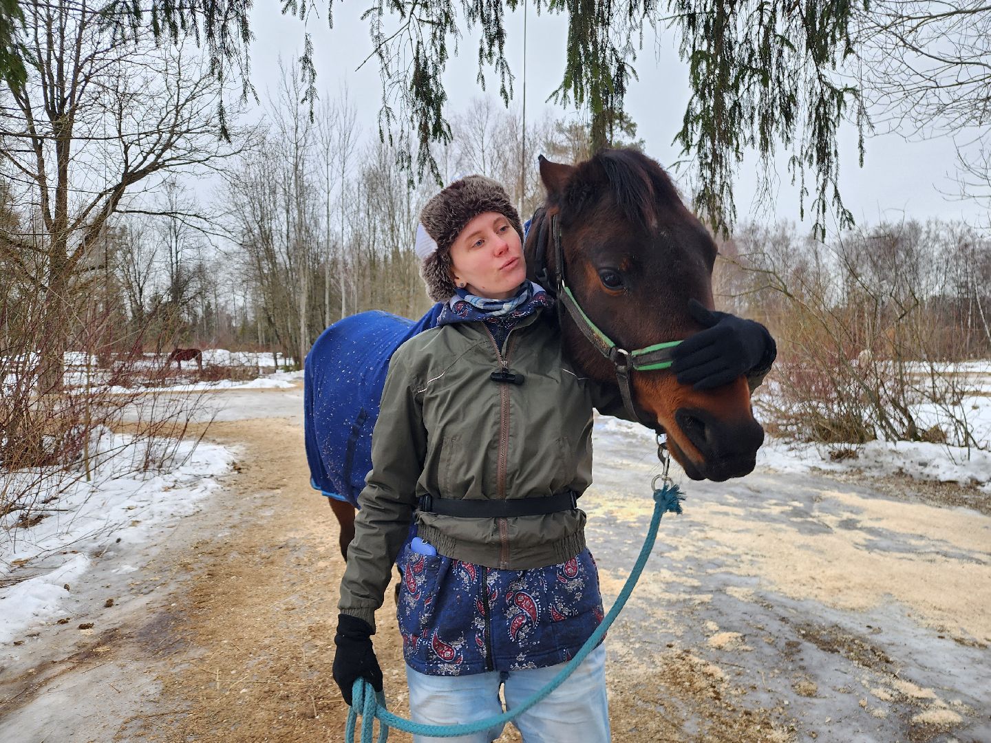 фрязино, лошади, конно-спортивная школа, массаж,