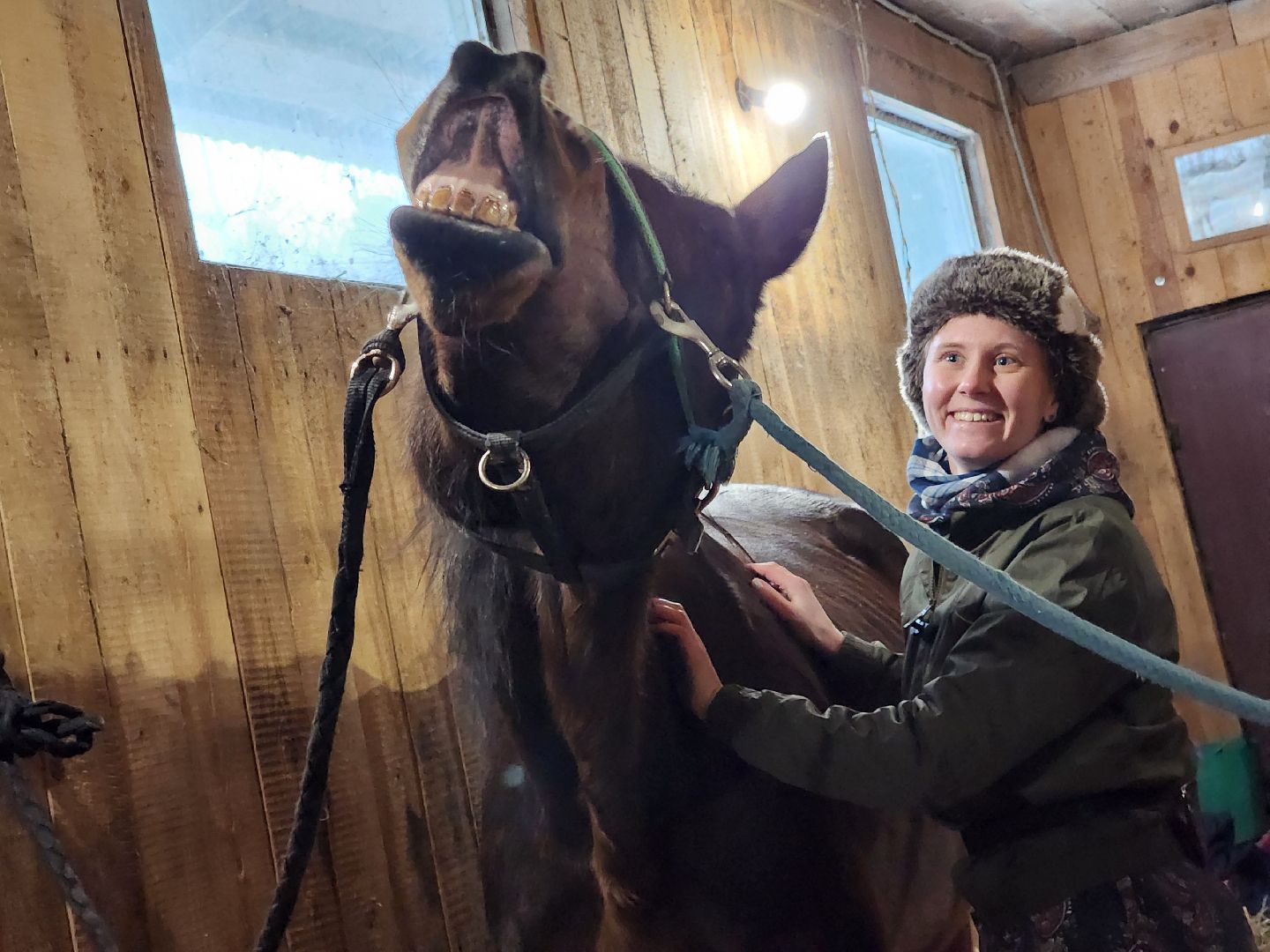 фрязино, лошади, конно-спортивная школа, массаж,